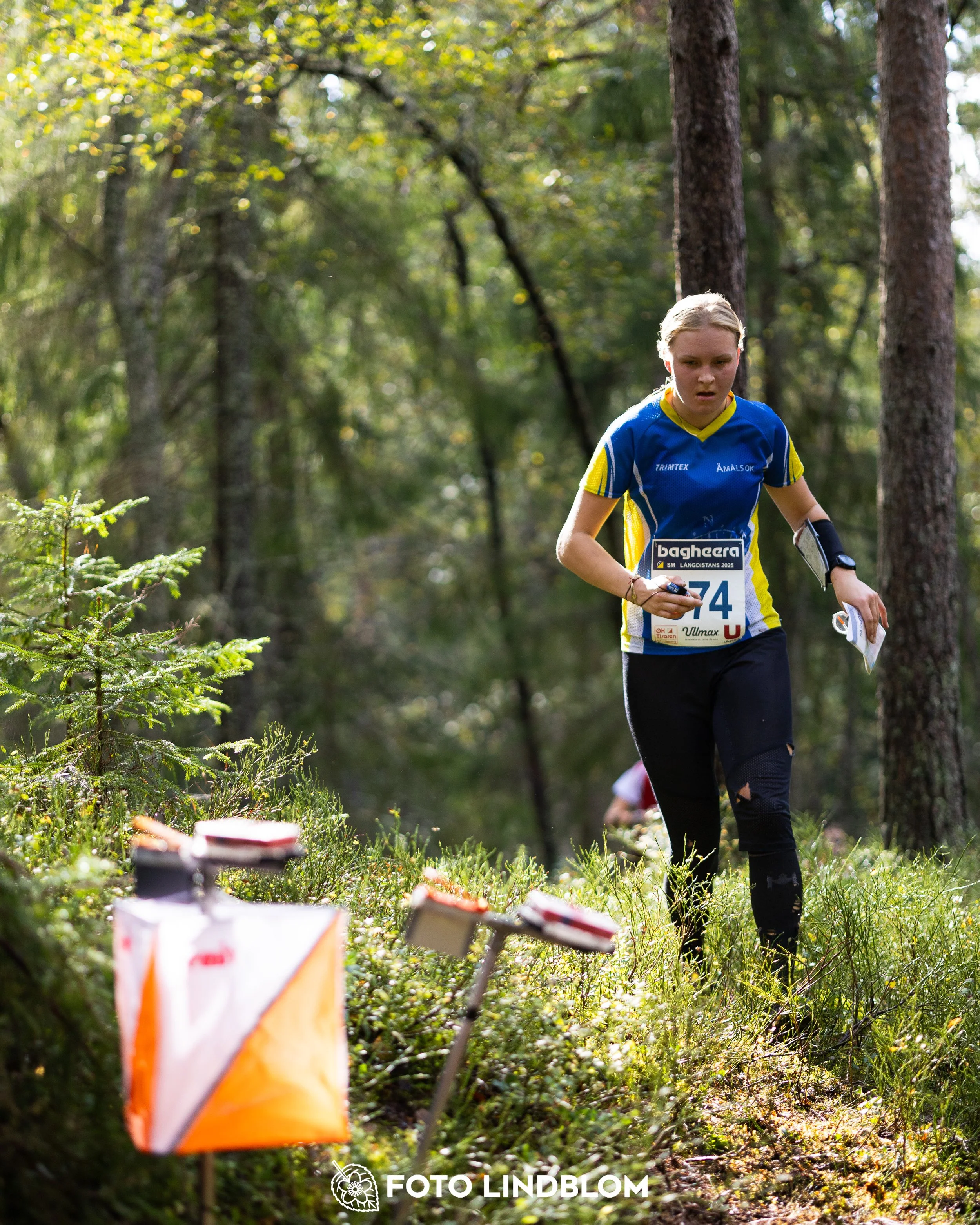 A picture from the Swedish national championship in long distance orienteering and Swedish league race taken by Foto Lindblom