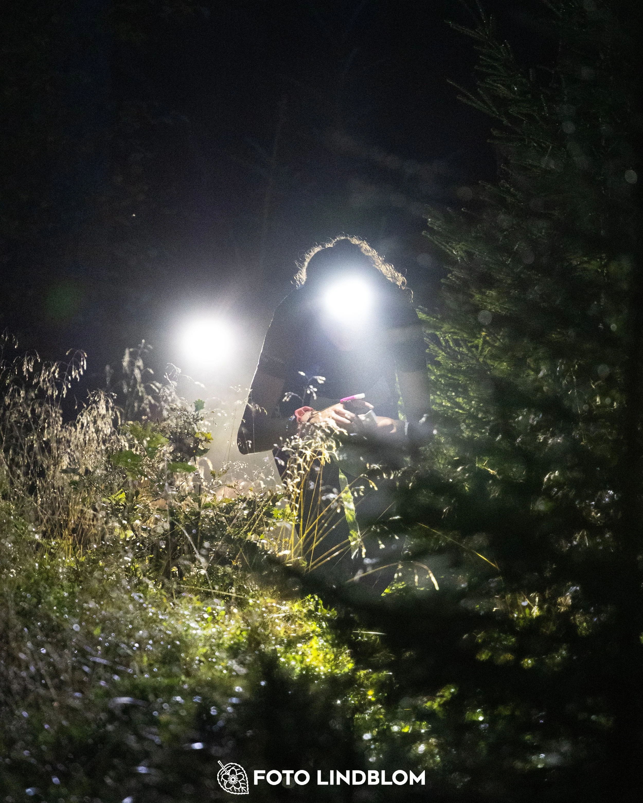 A picture from the youth 10 mila orienteering competition taken by Foto Lindblom