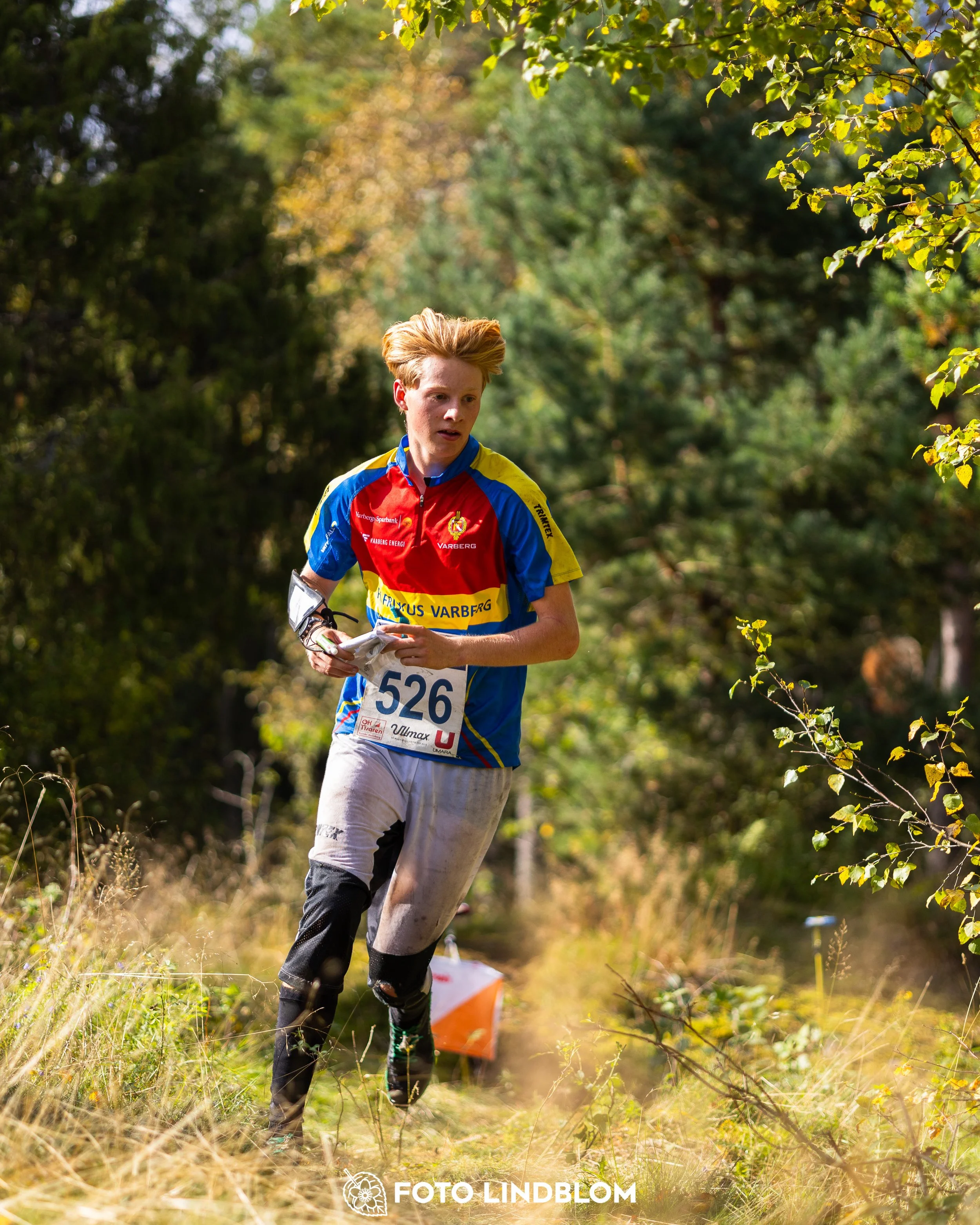 A picture from the Swedish national championship in long distance orienteering and Swedish league race taken by Foto Lindblom