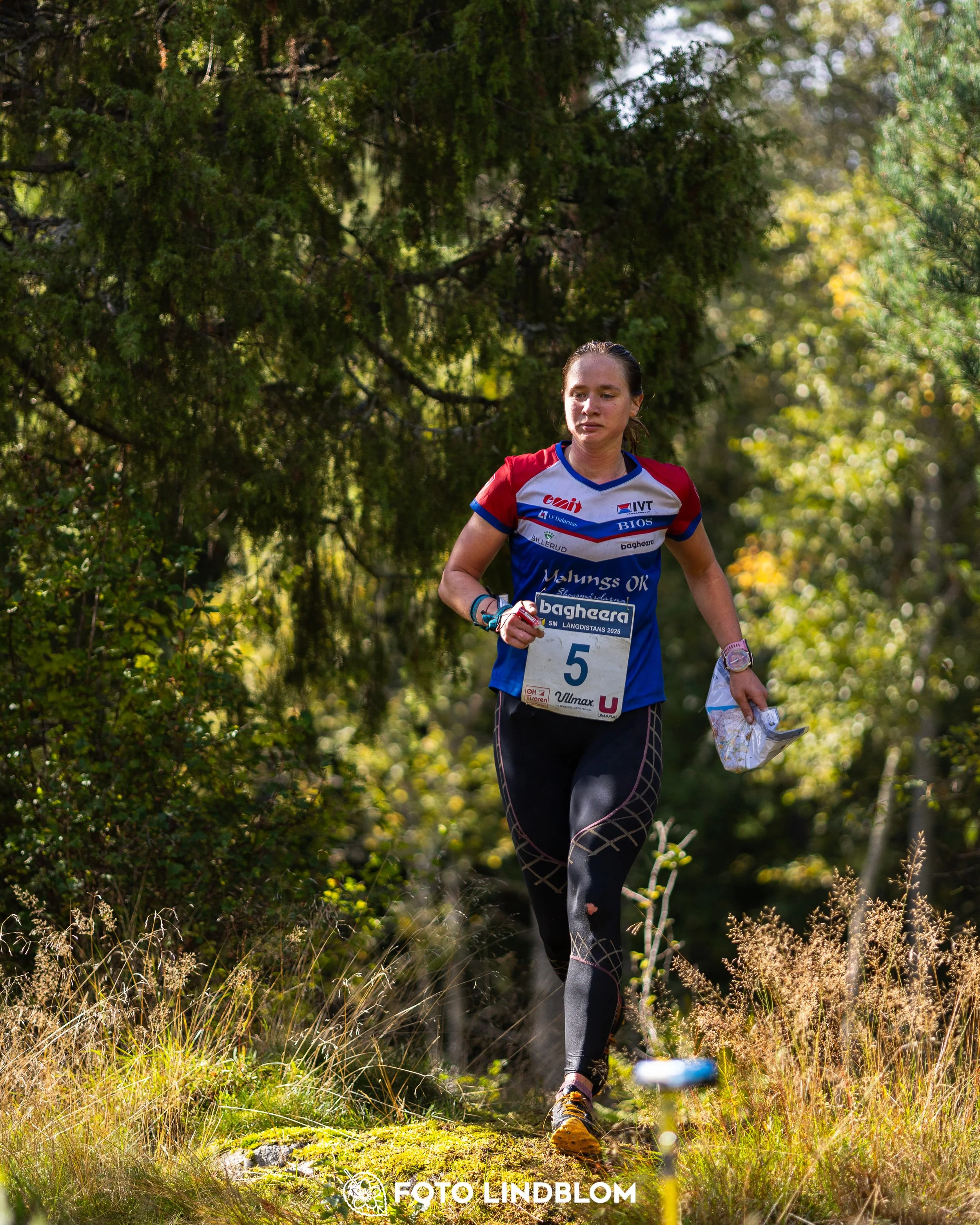 A picture from the Swedish national championship in long distance orienteering and Swedish league race taken by Foto Lindblom