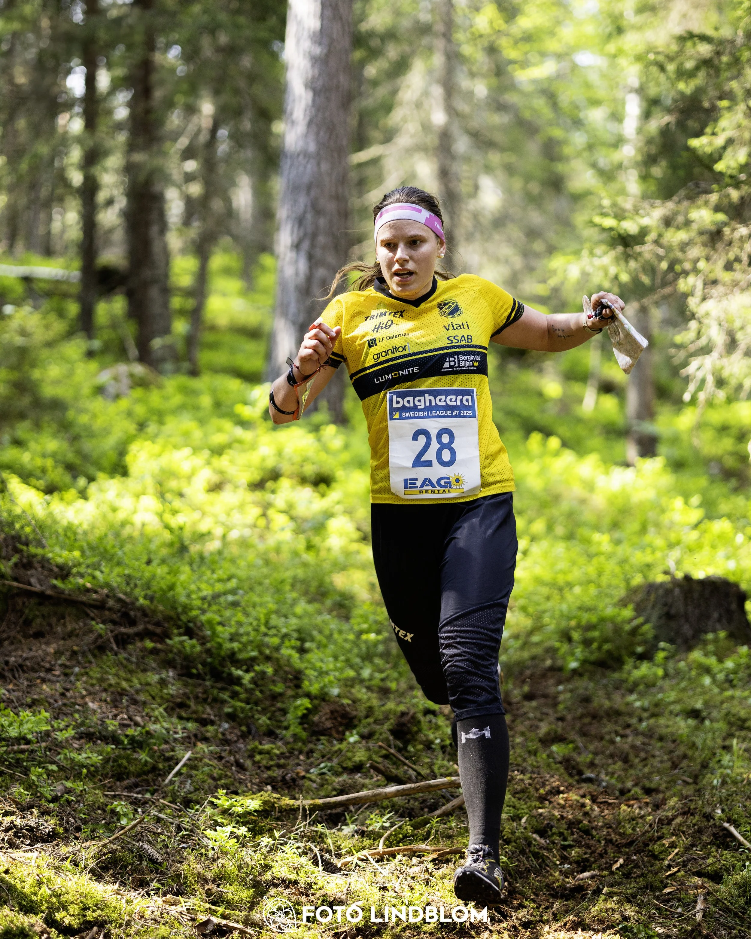 A picture from the seventh stage of the Swedish League orienteering competition