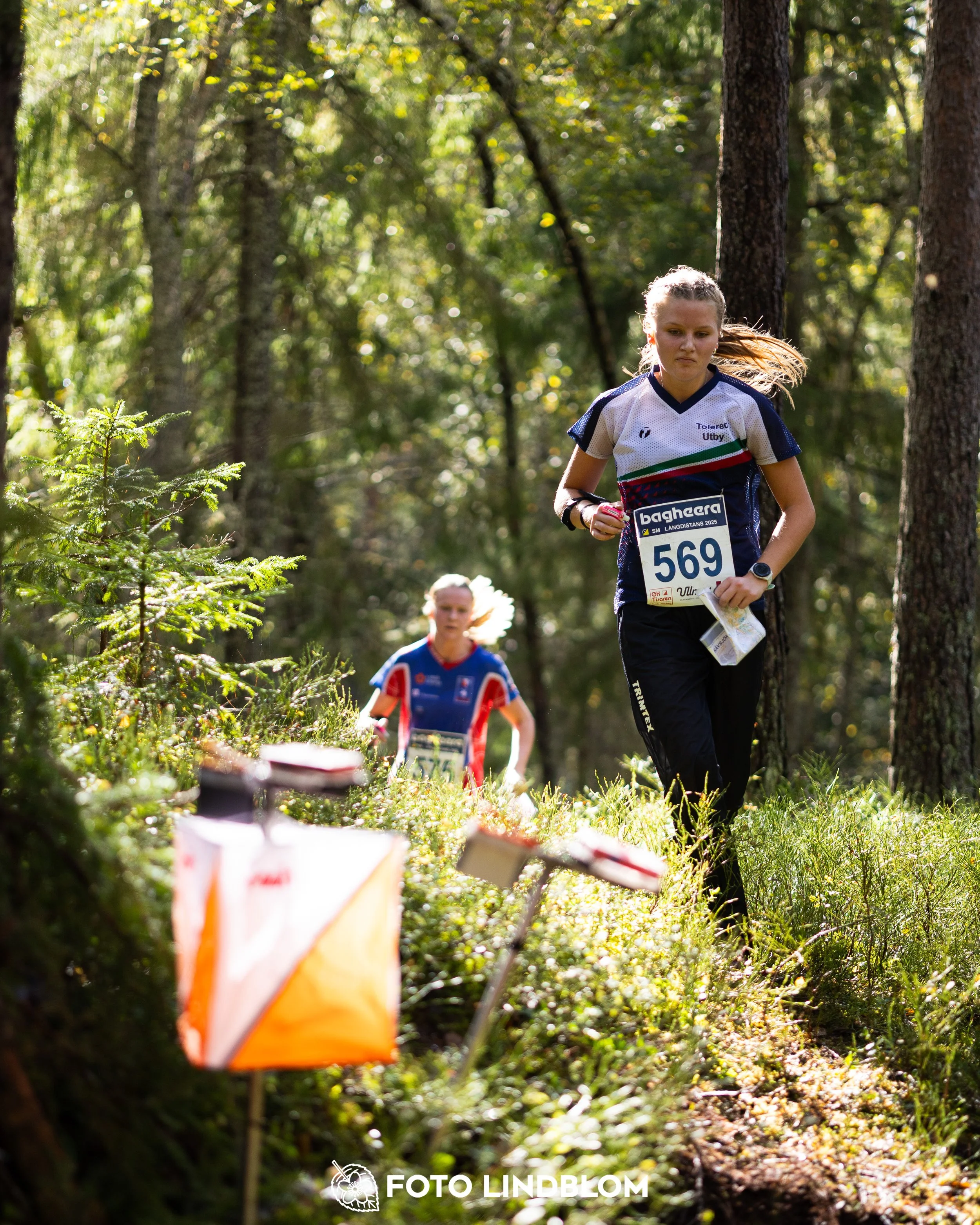 A picture from the Swedish national championship in long distance orienteering and Swedish league race taken by Foto Lindblom