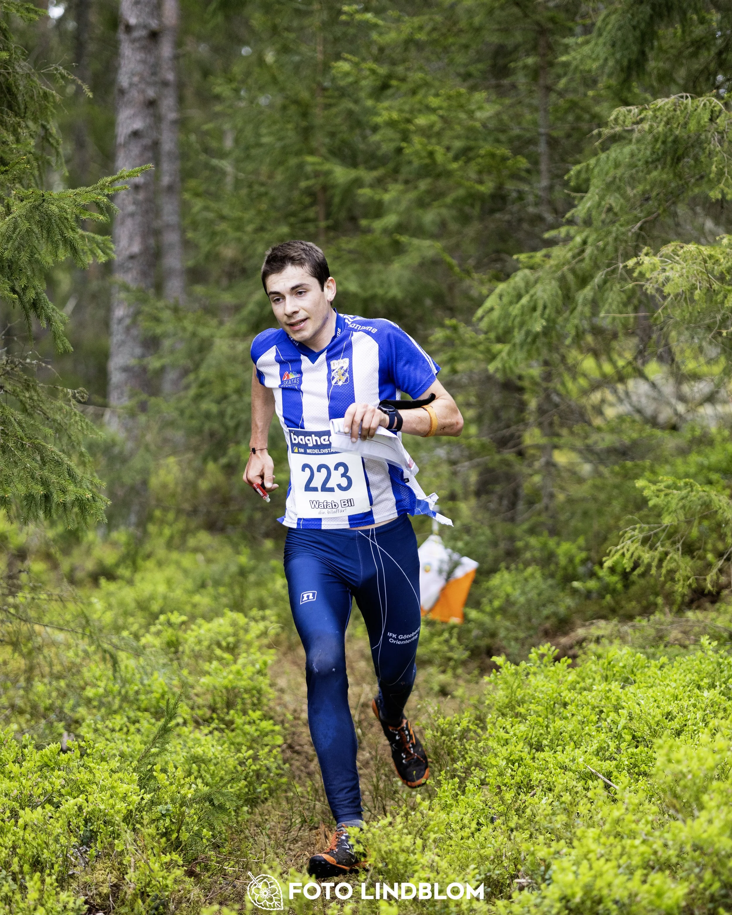 A picture from the Swedish national championship in middle distance orienteering and Swedish league race