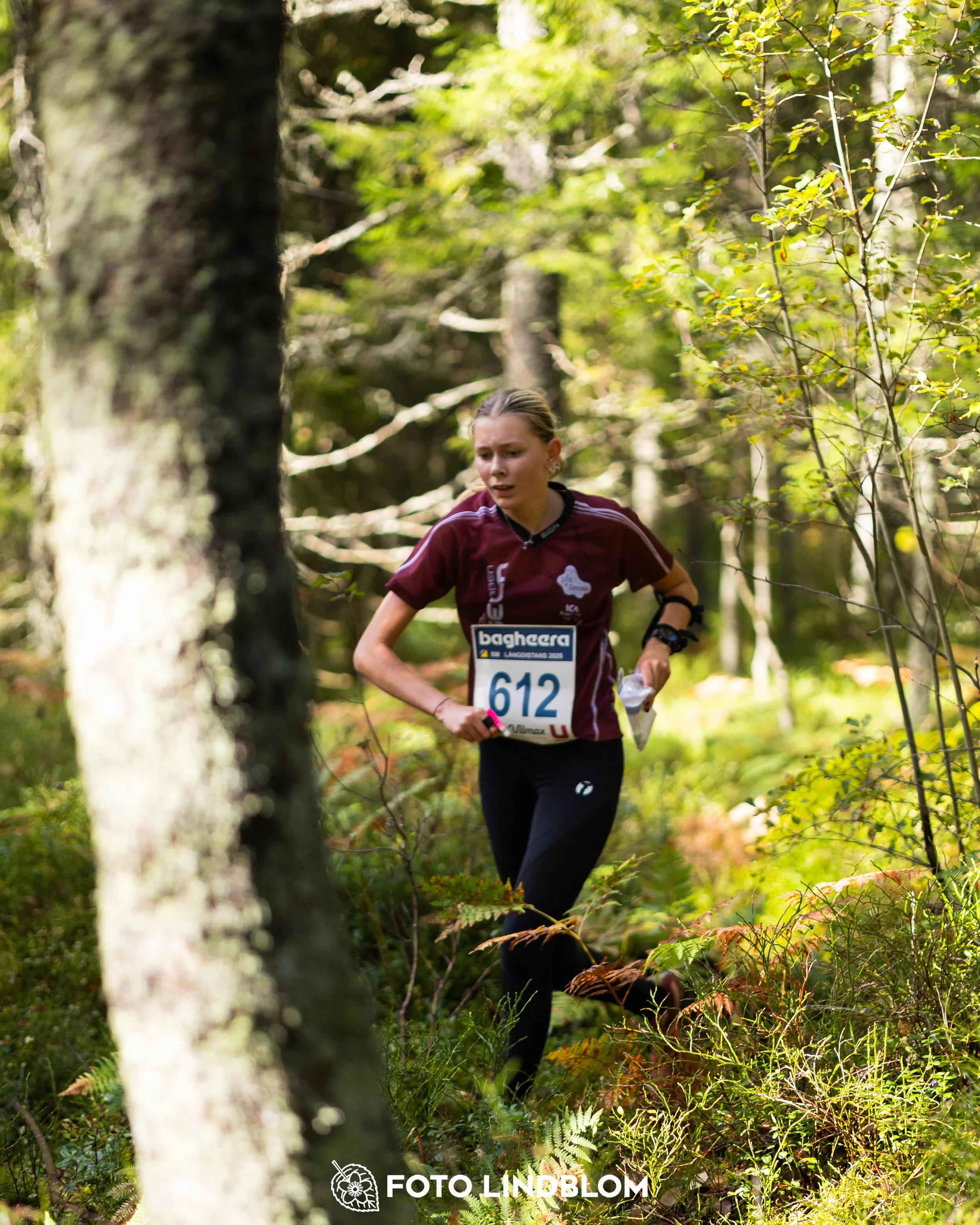 A picture from the Swedish national championship in long distance orienteering and Swedish league race taken by Foto Lindblom