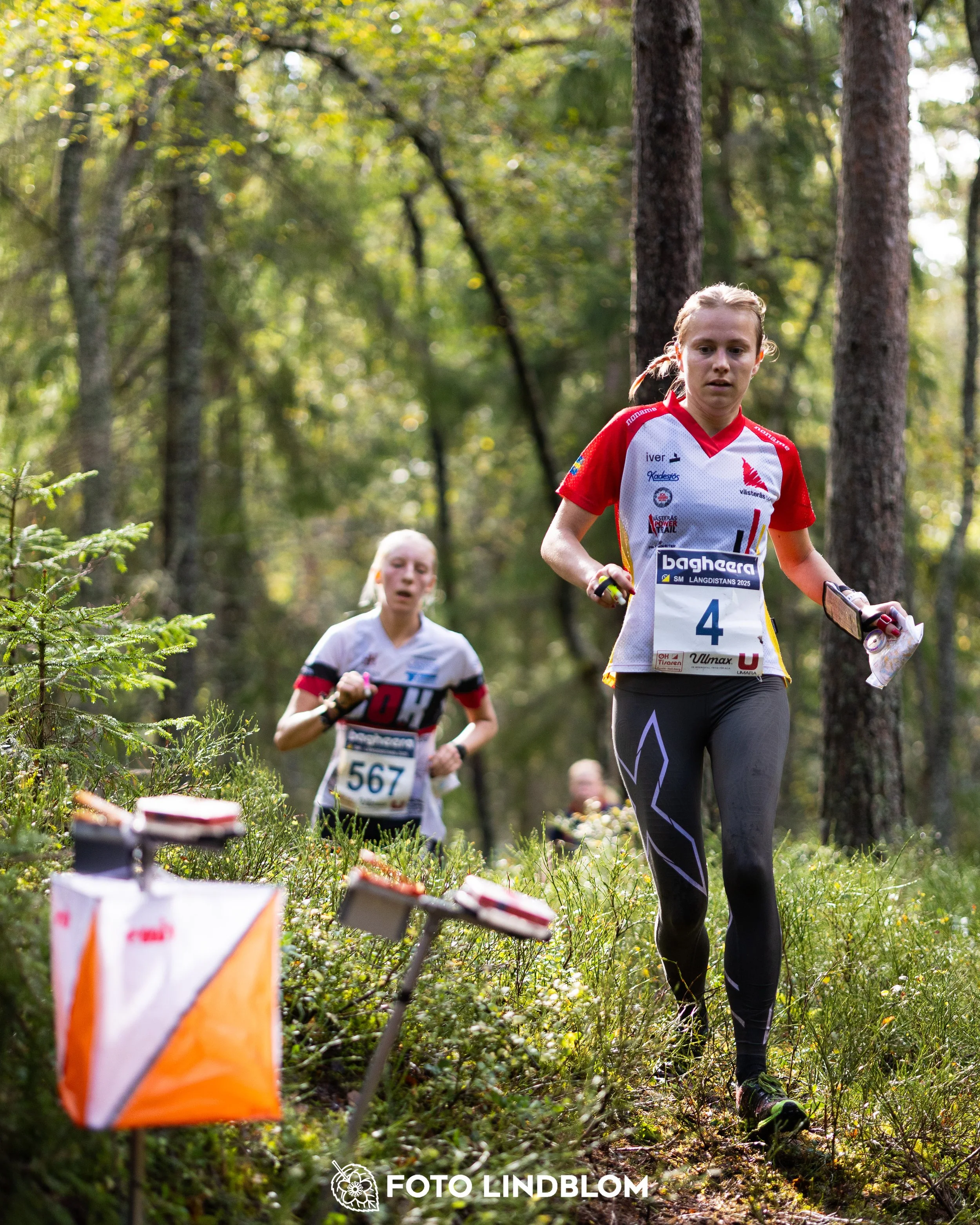 A picture from the Swedish national championship in long distance orienteering and Swedish league race taken by Foto Lindblom