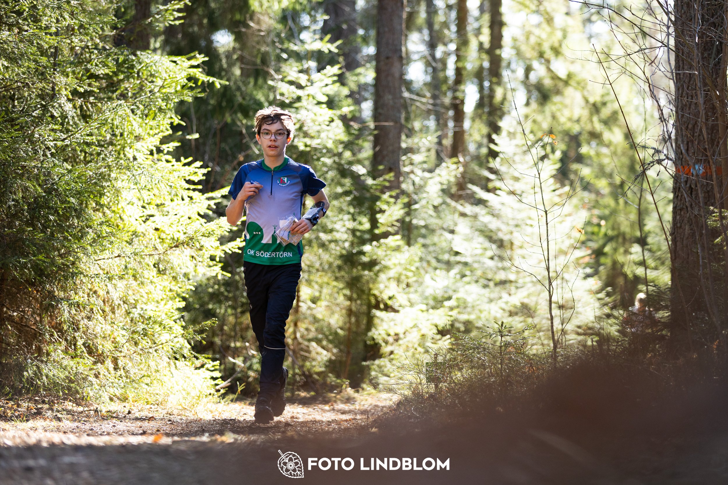 Orienteering in forest terrain at Nyköpingsorienteringen 2026, photographed by Foto Lindblom.