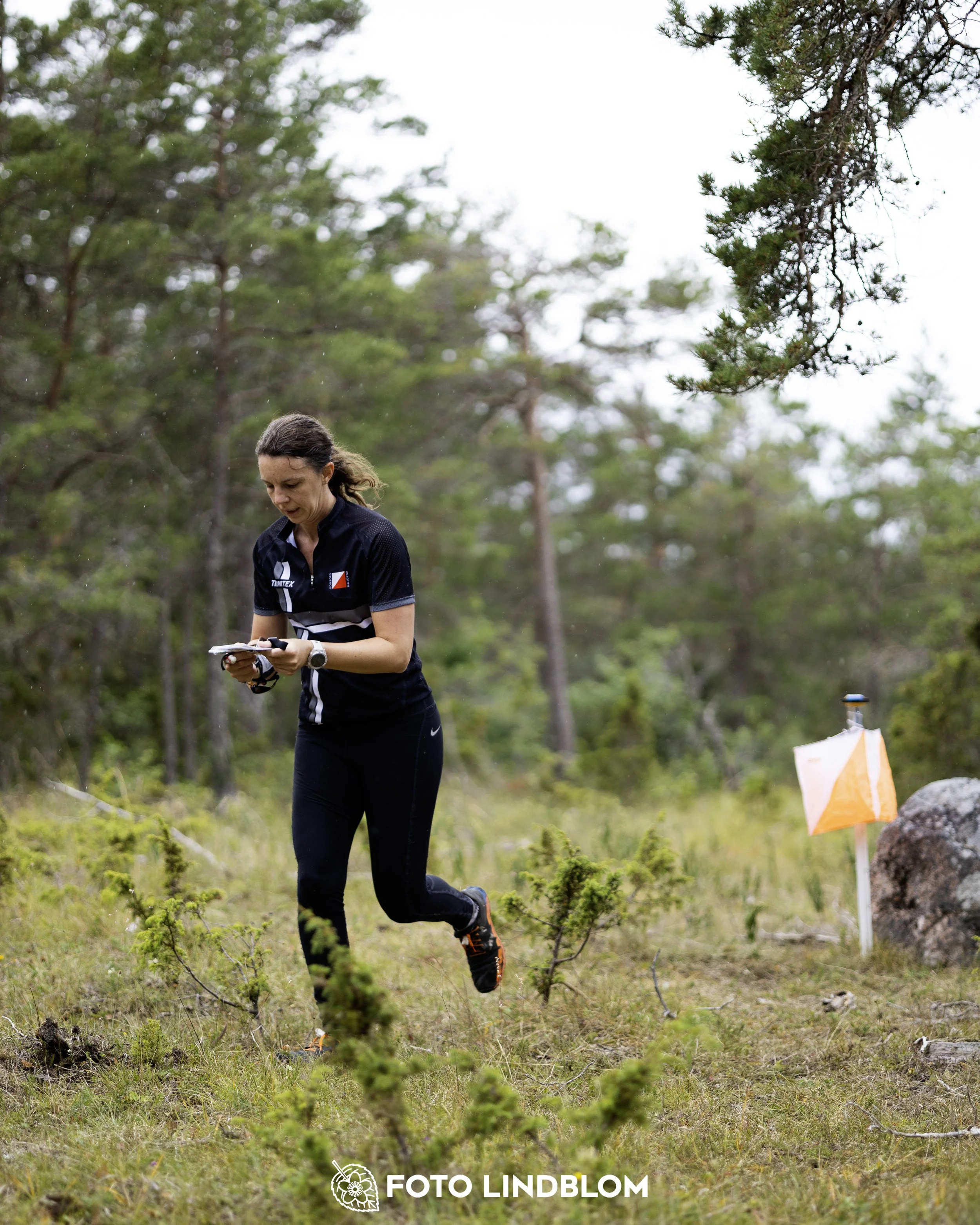 A picture from the Gotlands 2-Dagars orienteering competition