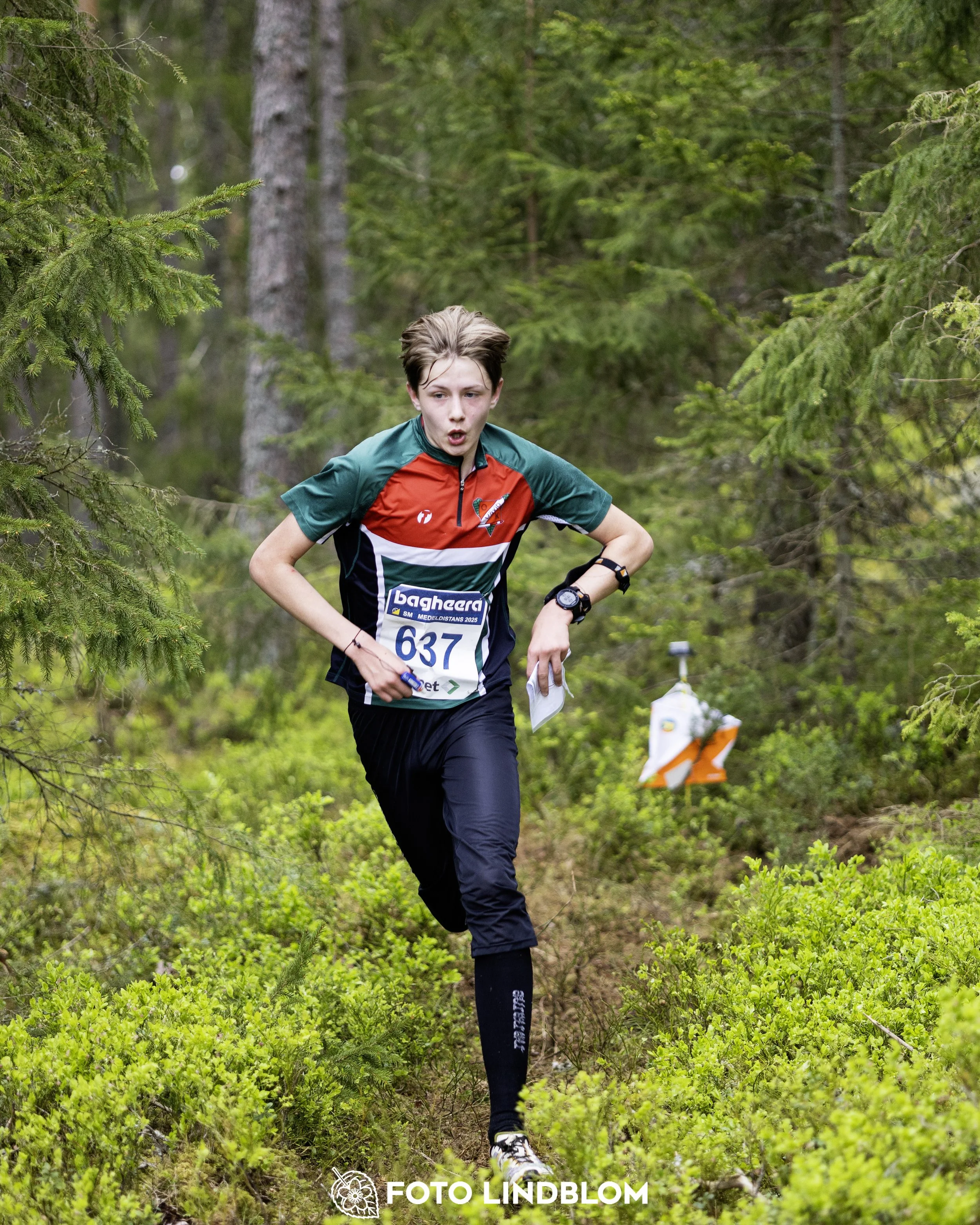 A picture from the Swedish national championship in middle distance orienteering and Swedish league race
