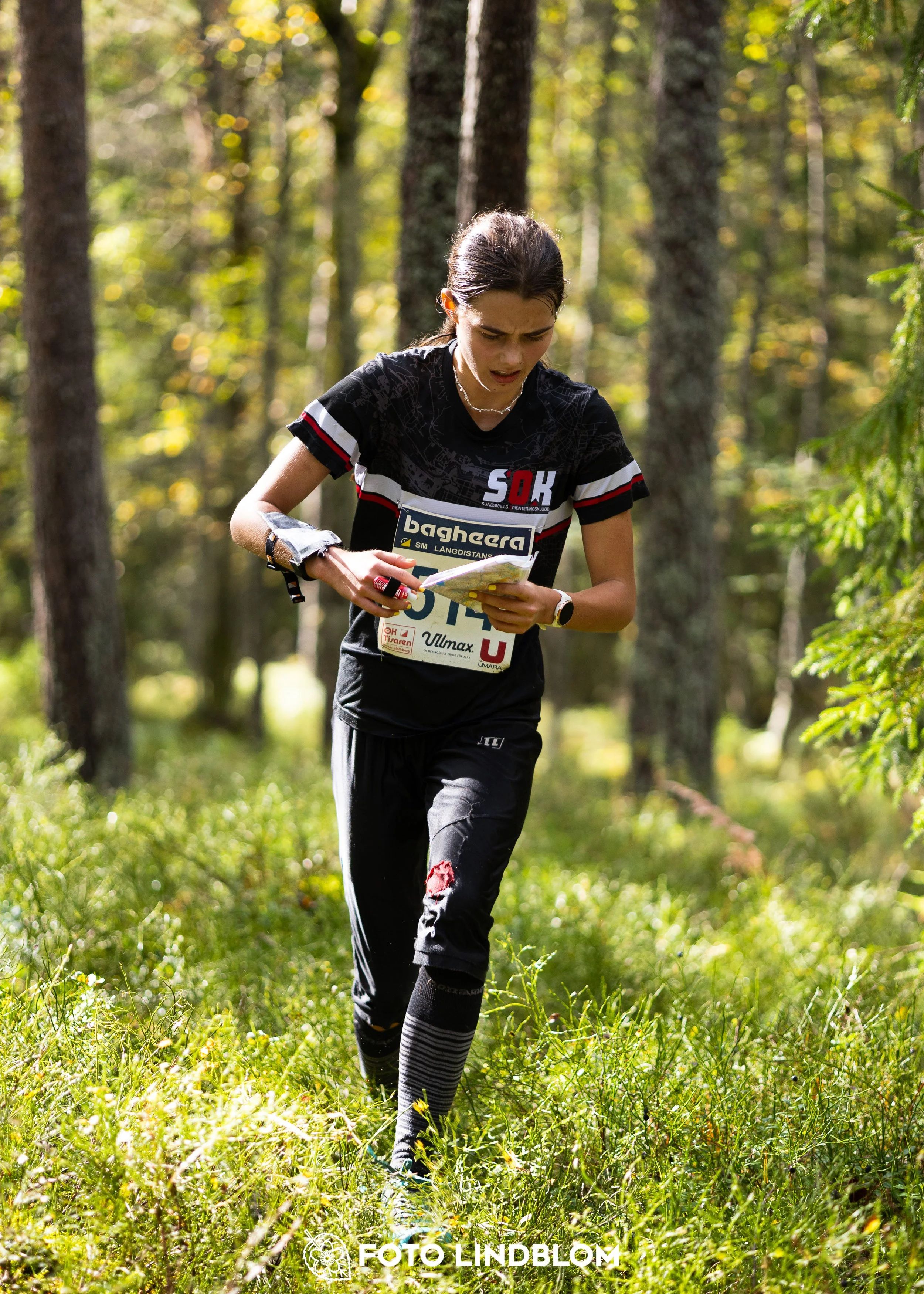 A picture from the Swedish national championship in long distance orienteering and Swedish league race taken by Foto Lindblom
