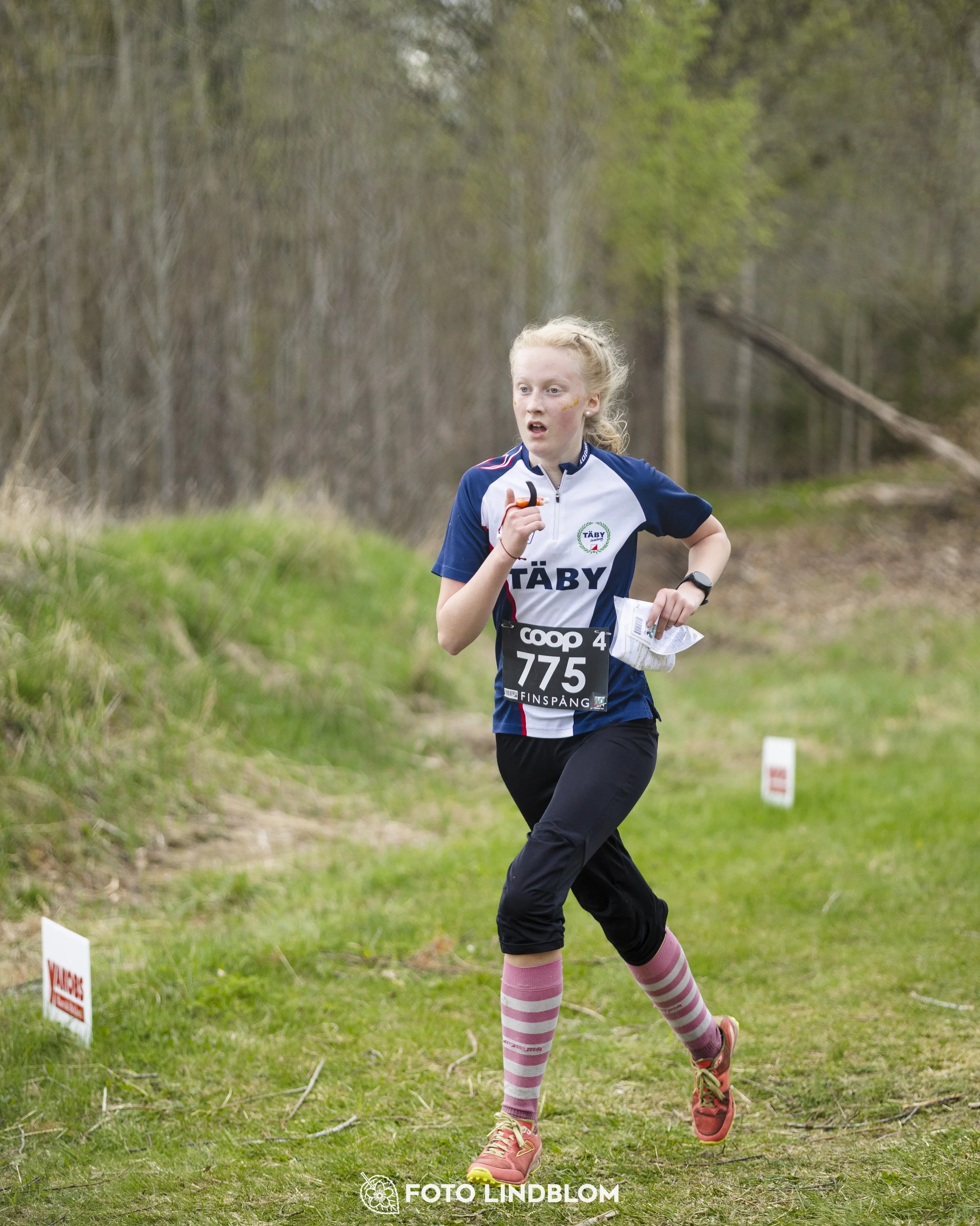A picture from the youth relay at 10-Mila orienteering competition