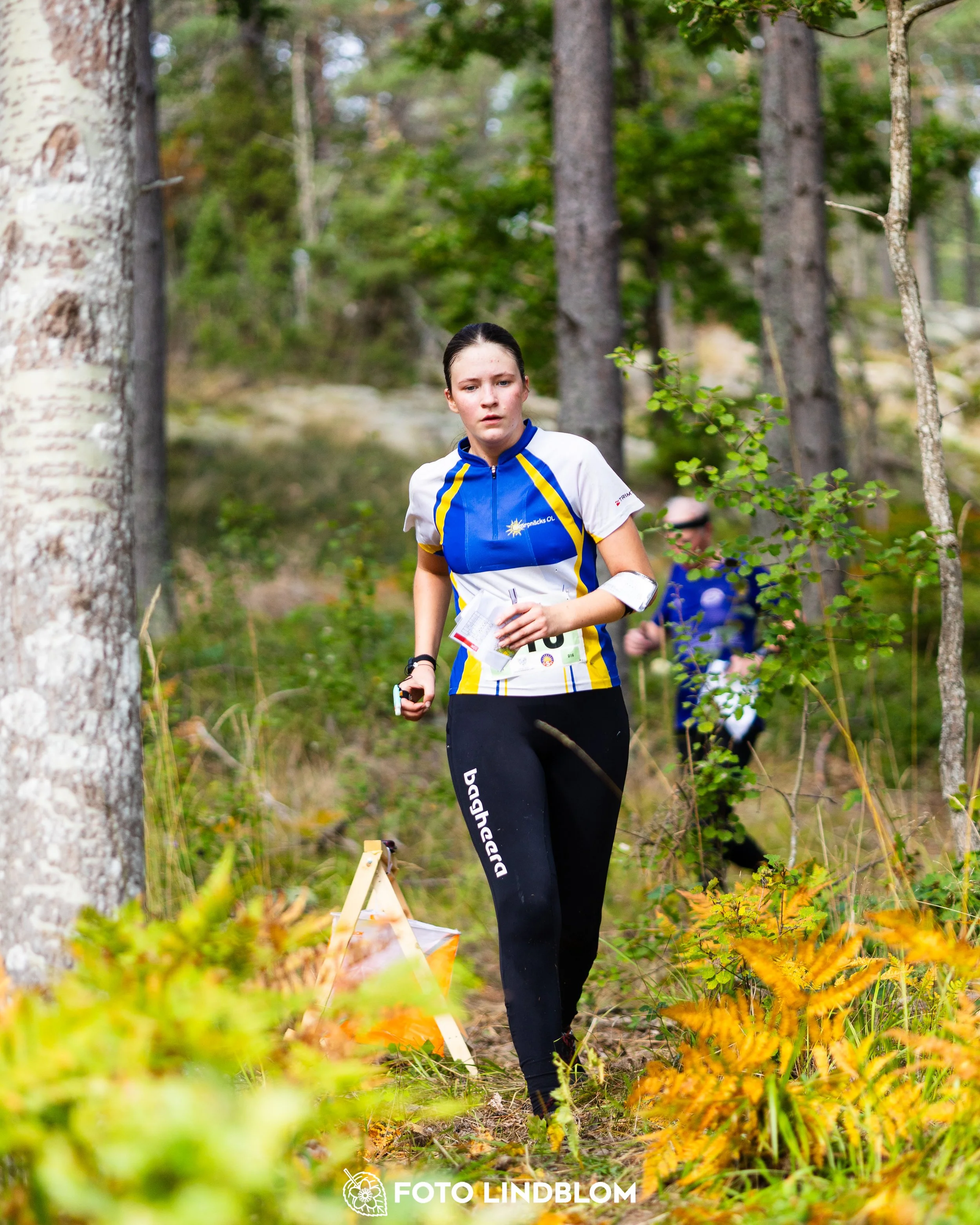 A picture from the Stockholm district championship in middle distance orienteering taken by Foto Lindblom