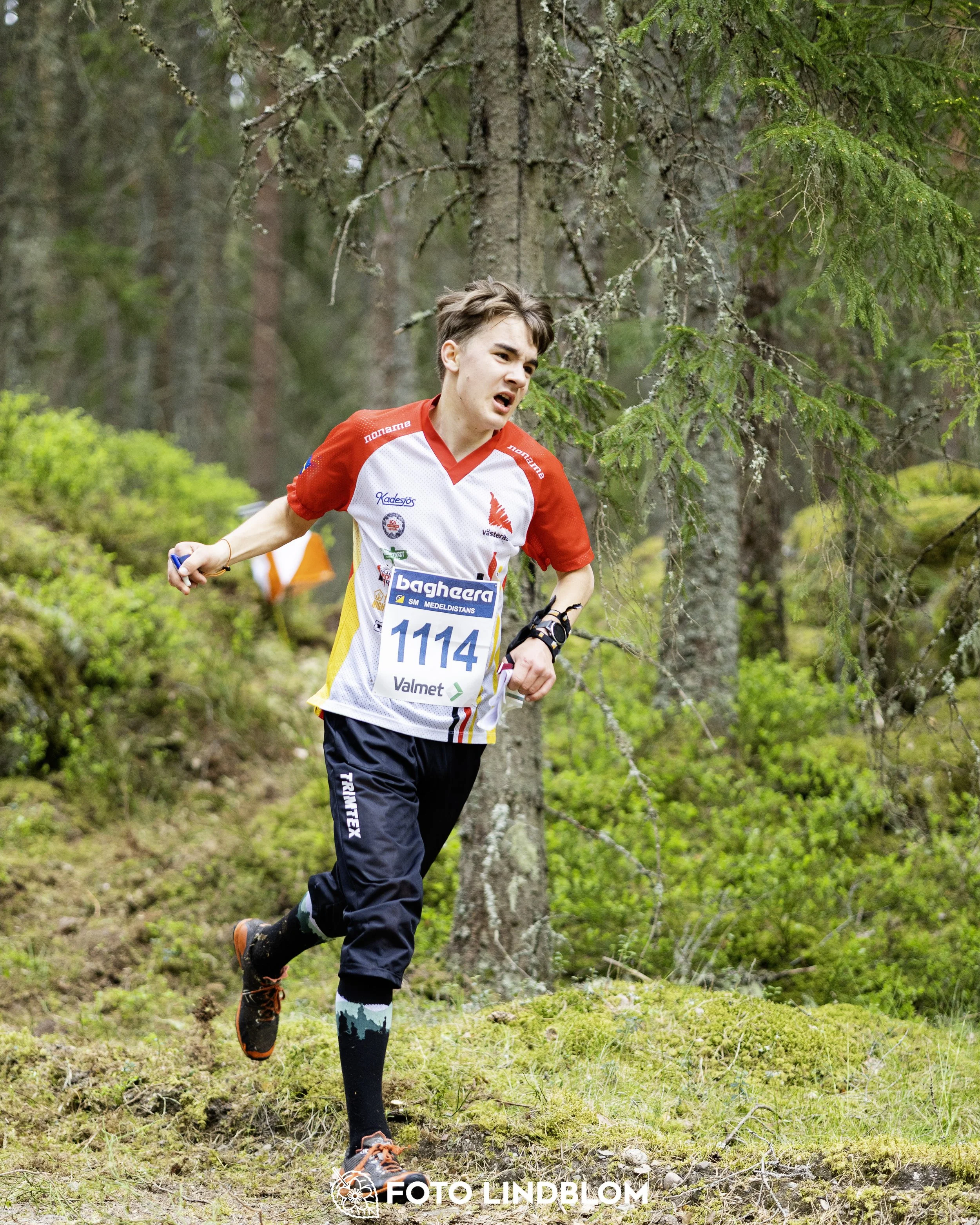 A picture from the Swedish national championship in middle distance orienteering and Swedish league race