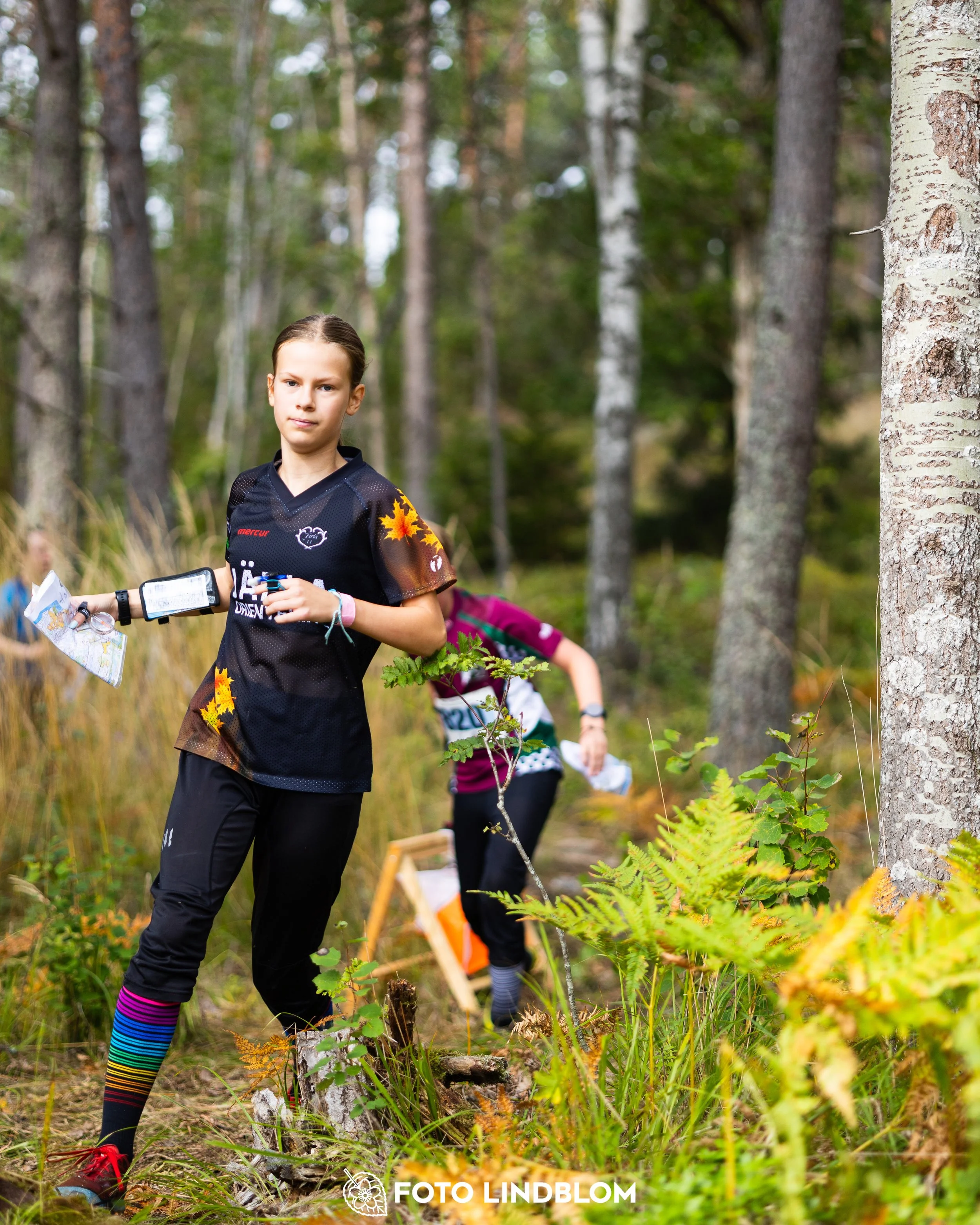 A picture from the Stockholm district championship in middle distance orienteering taken by Foto Lindblom