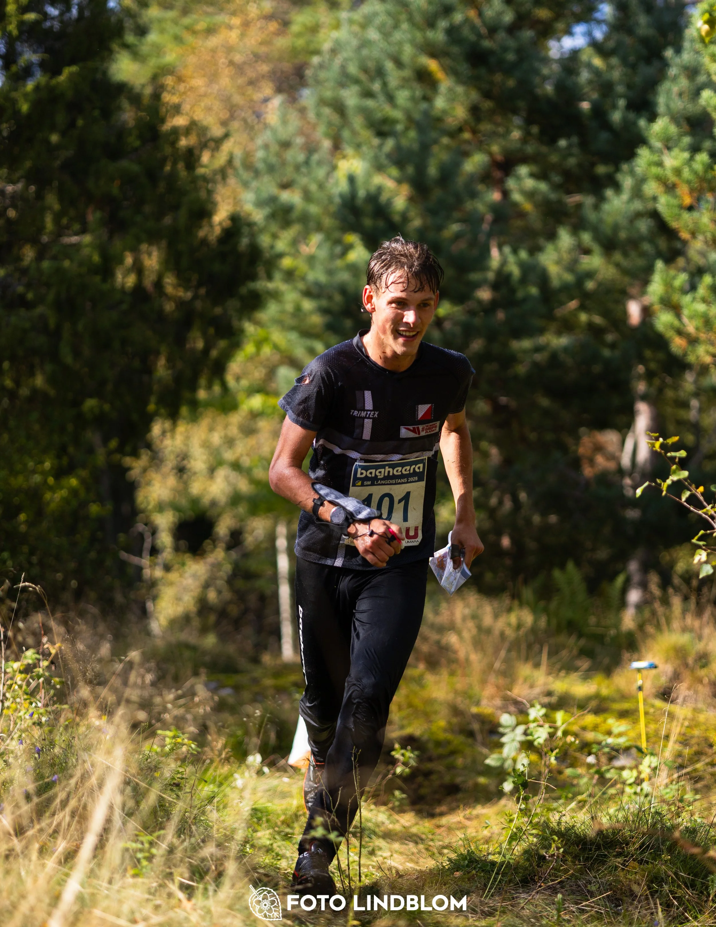 A picture from the Swedish national championship in long distance orienteering and Swedish league race taken by Foto Lindblom
