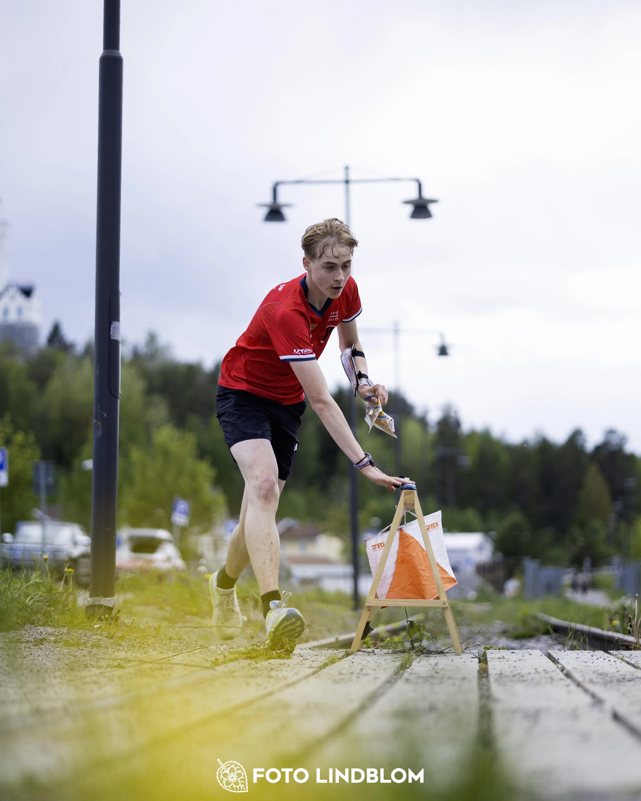 A picture from the fifth stage of the Swedish League orienteering competition