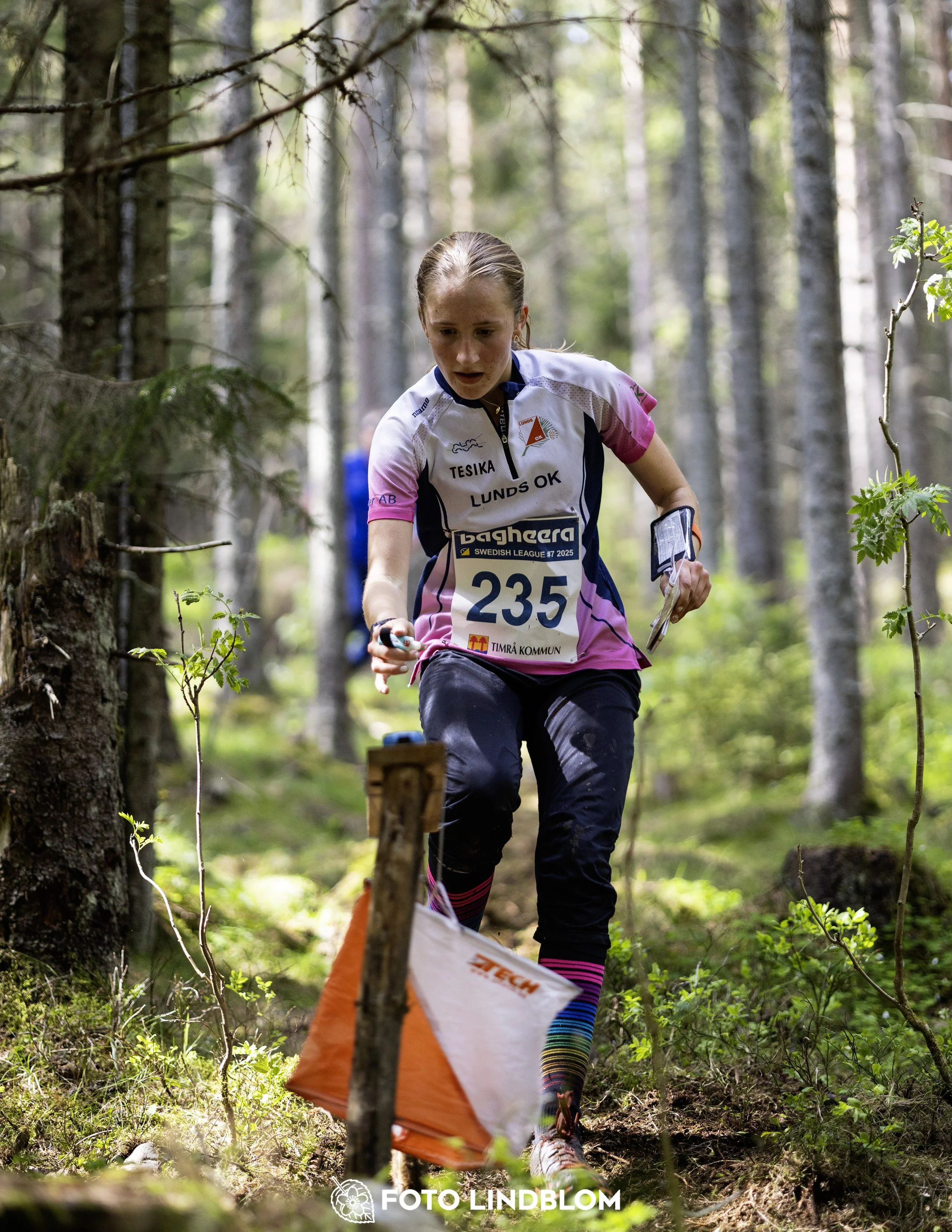 A picture from the seventh stage of the Swedish League orienteering competition