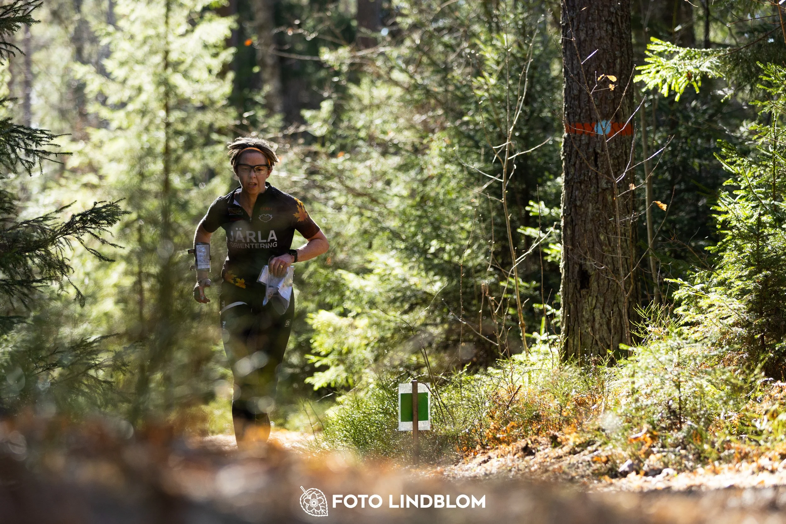 A moment from the 2026 Nyköpingsorienteringen orienteering race in Sweden, captured by Foto Lindblom.