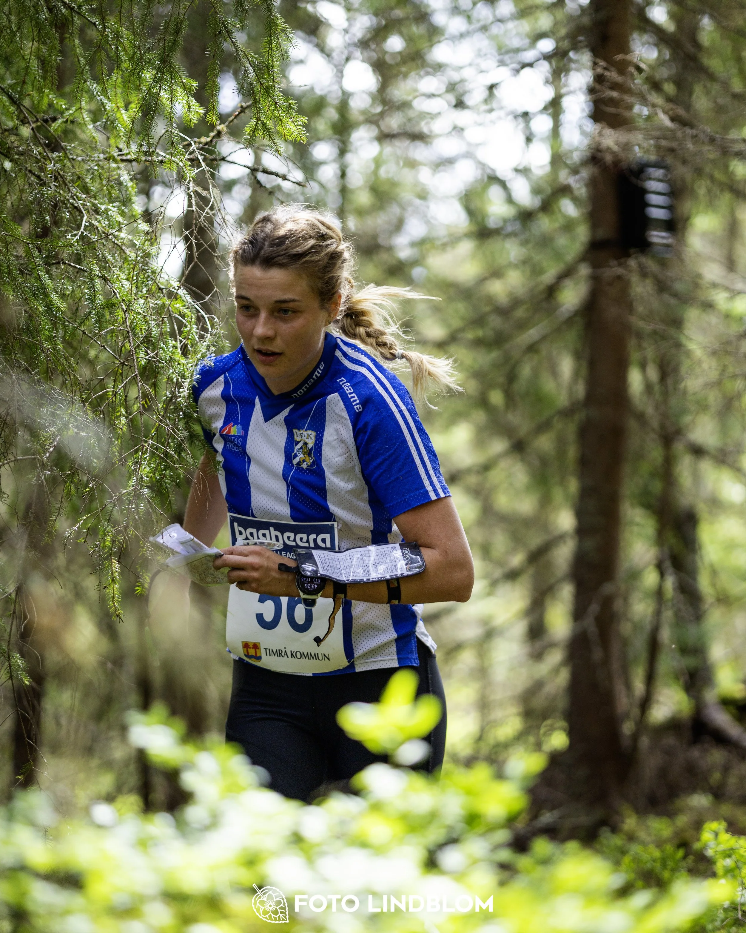 A picture from the seventh stage of the Swedish League orienteering competition