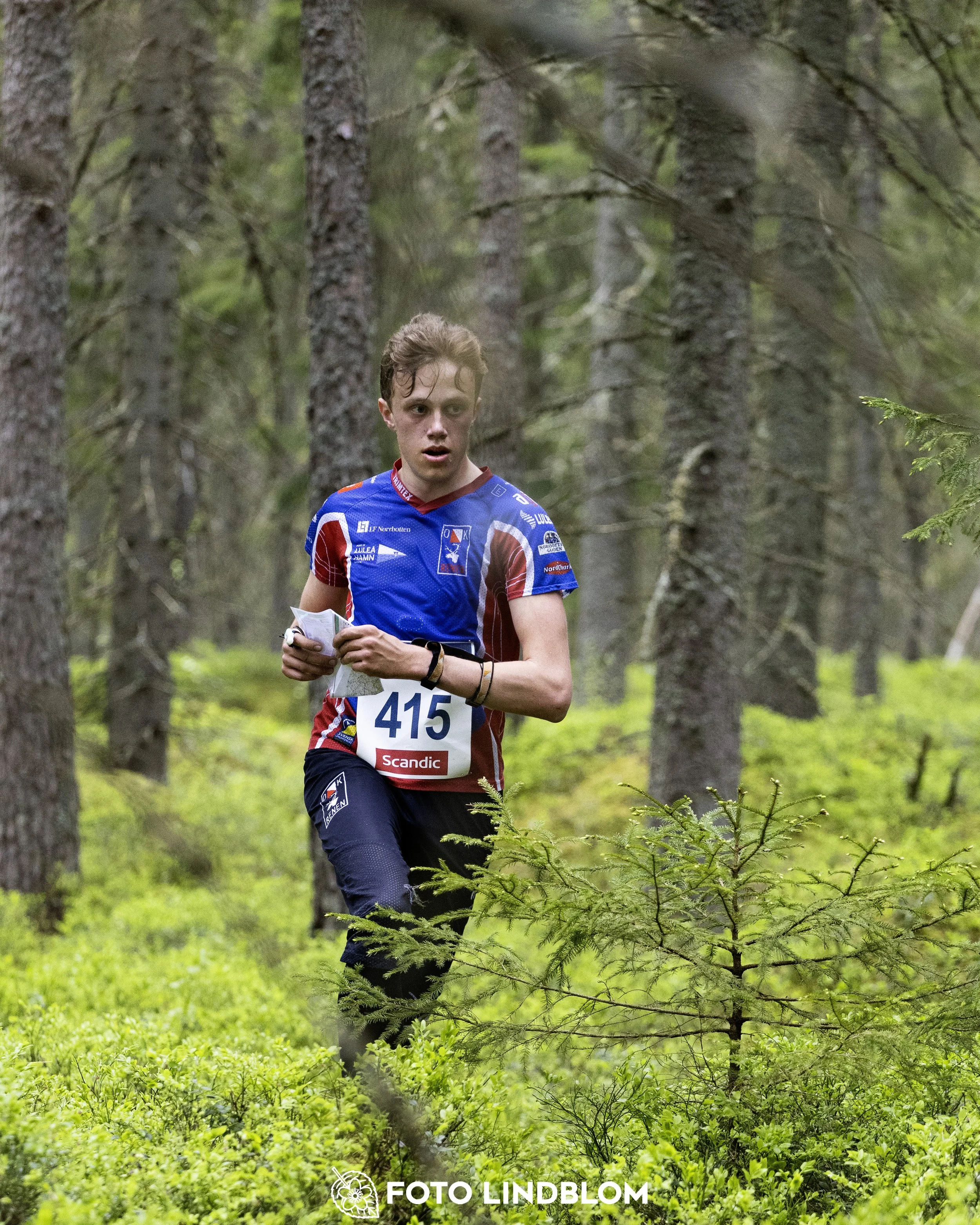 A picture from the Swedish national championship in middle distance orienteering and Swedish league race