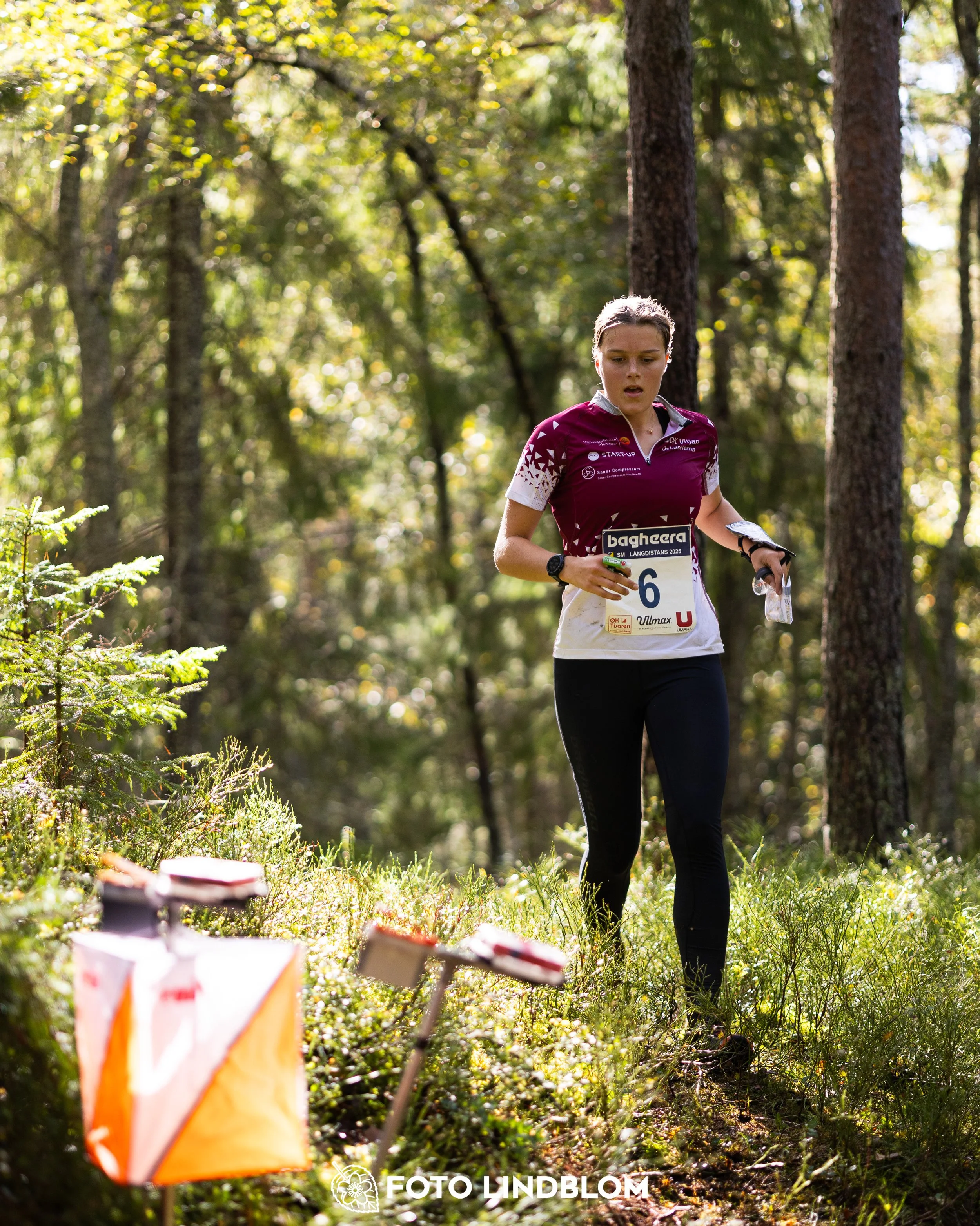 A picture from the Swedish national championship in long distance orienteering and Swedish league race taken by Foto Lindblom