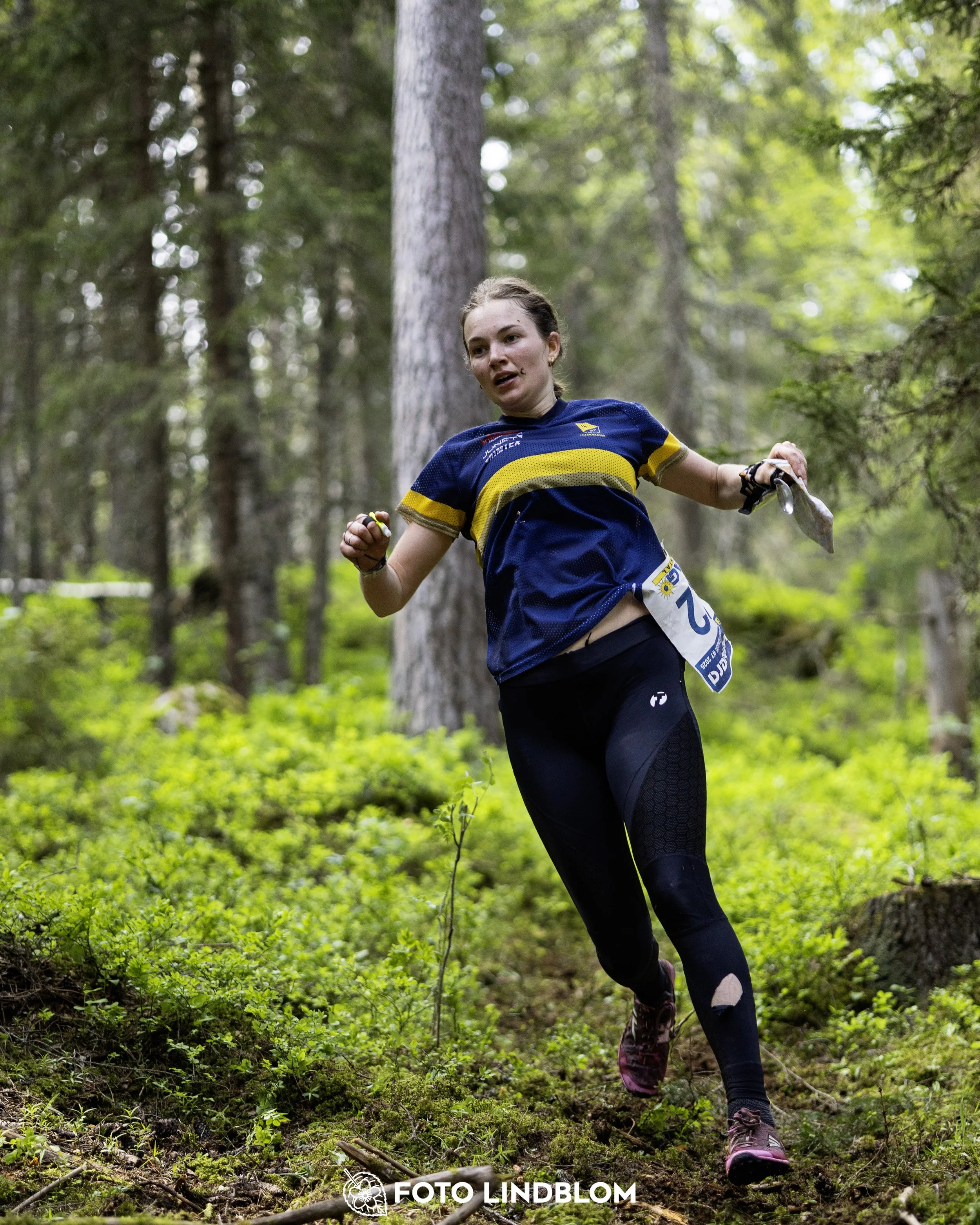 A picture from the seventh stage of the Swedish League orienteering competition
