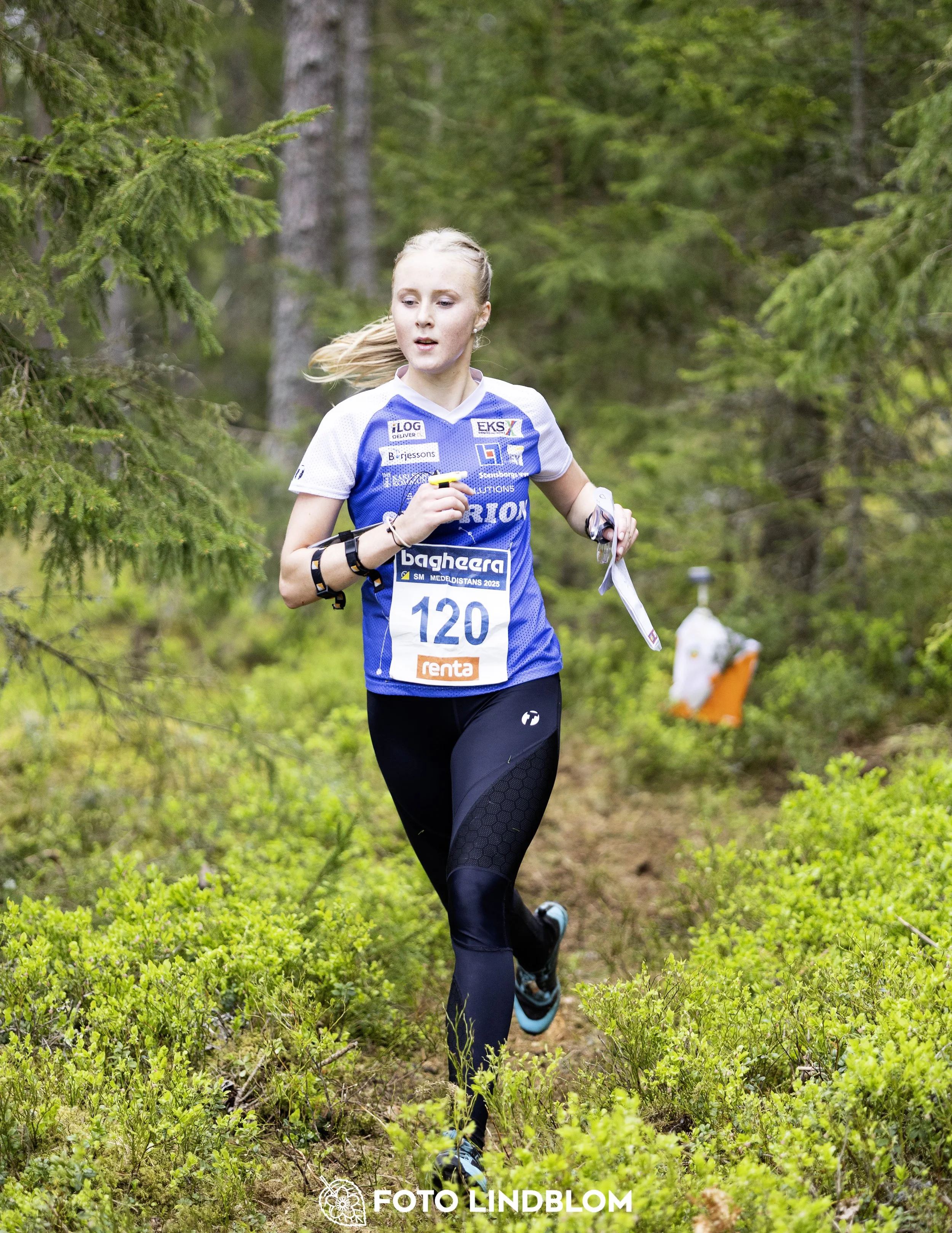 A picture from the Swedish national championship in middle distance orienteering and Swedish league race