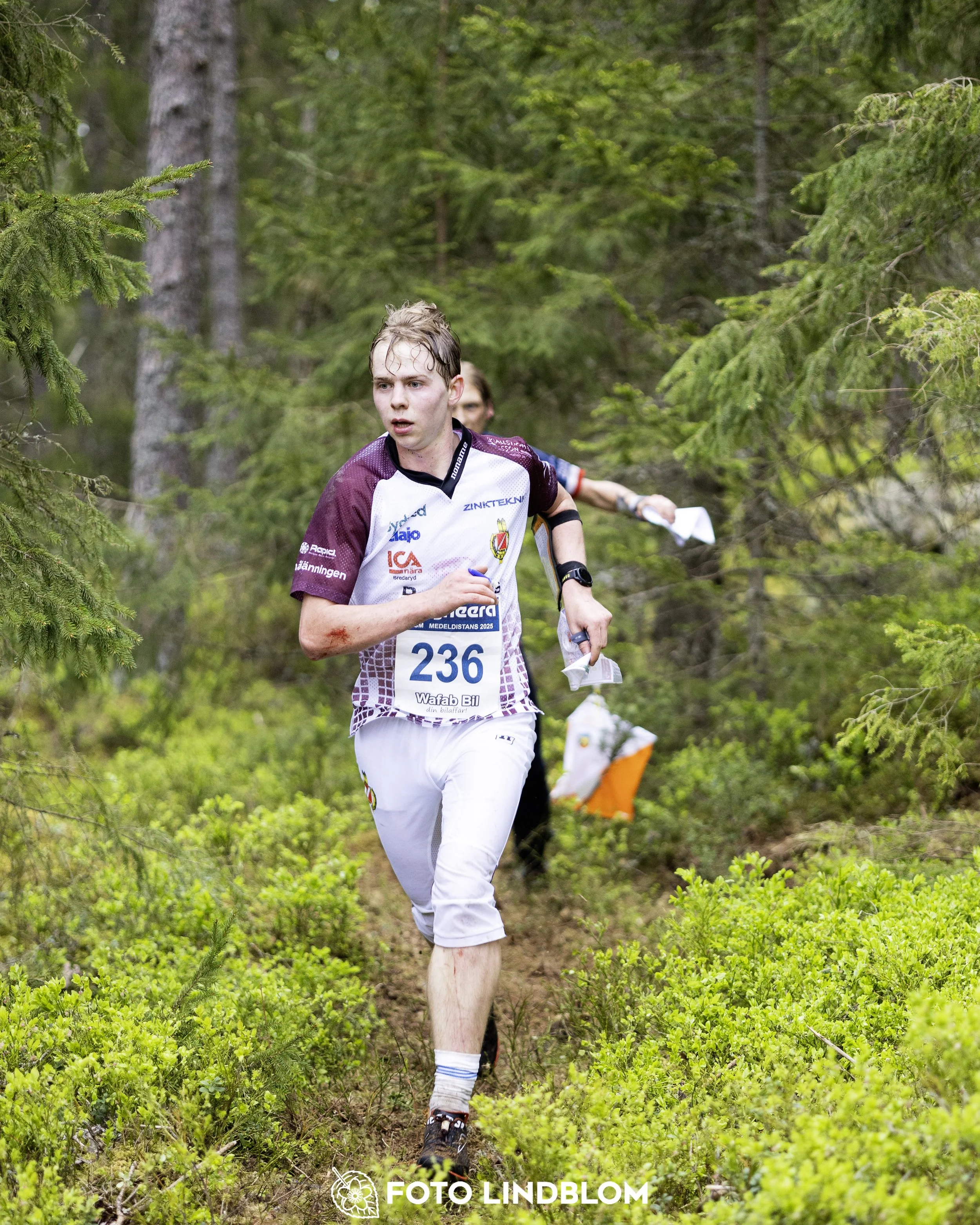 A picture from the Swedish national championship in middle distance orienteering and Swedish league race