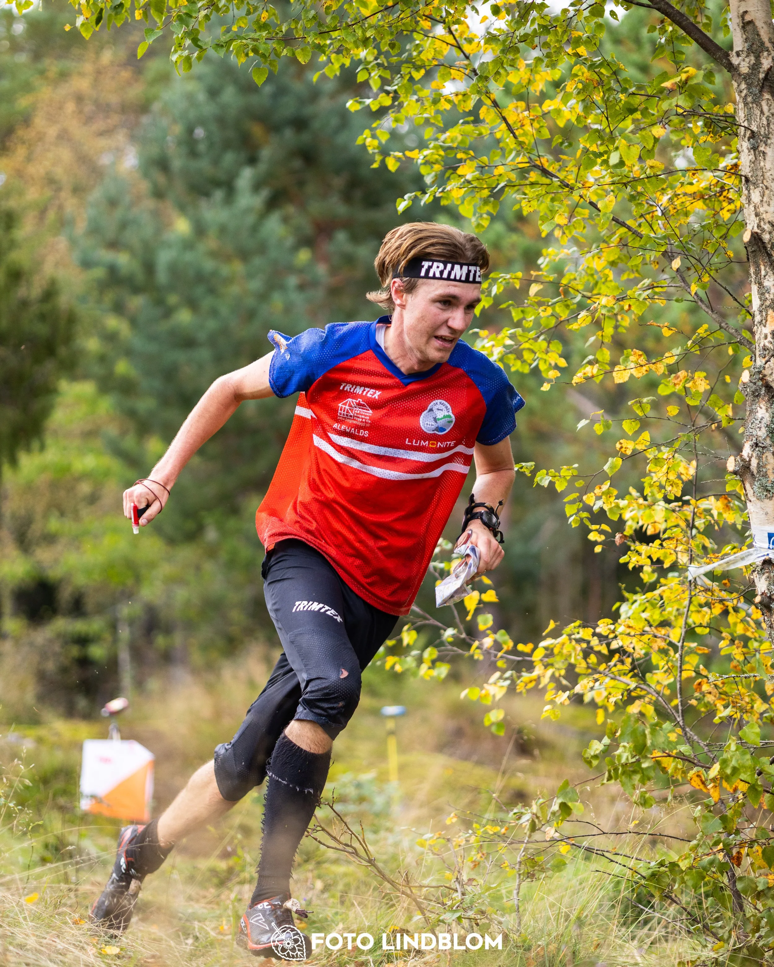 A picture from the Swedish national championship in long distance orienteering and Swedish league race taken by Foto Lindblom