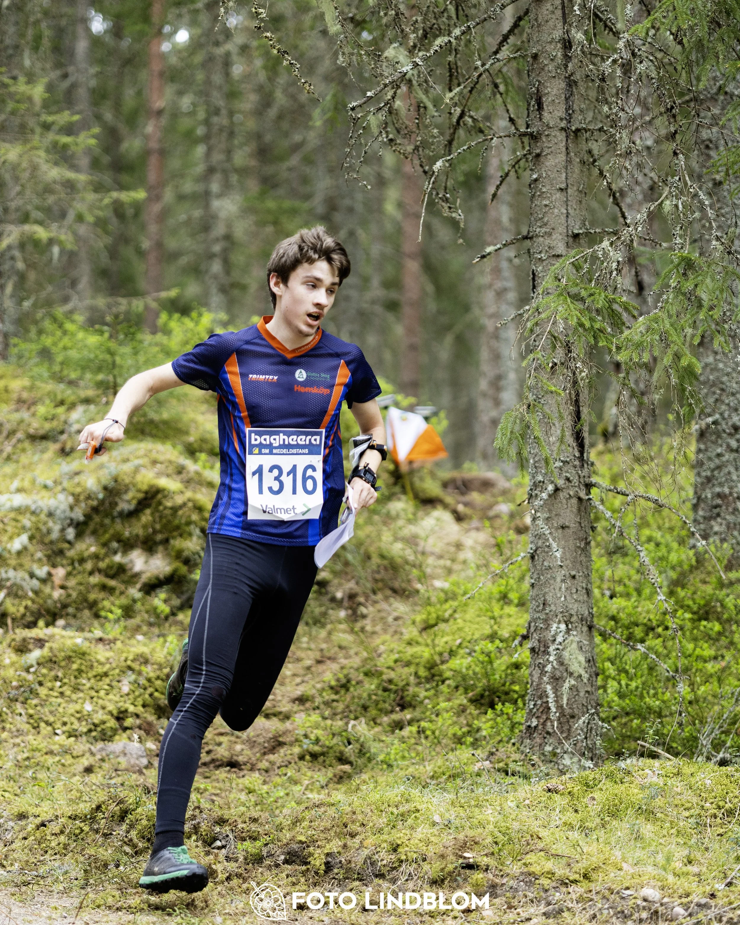 A picture from the Swedish national championship in middle distance orienteering and Swedish league race