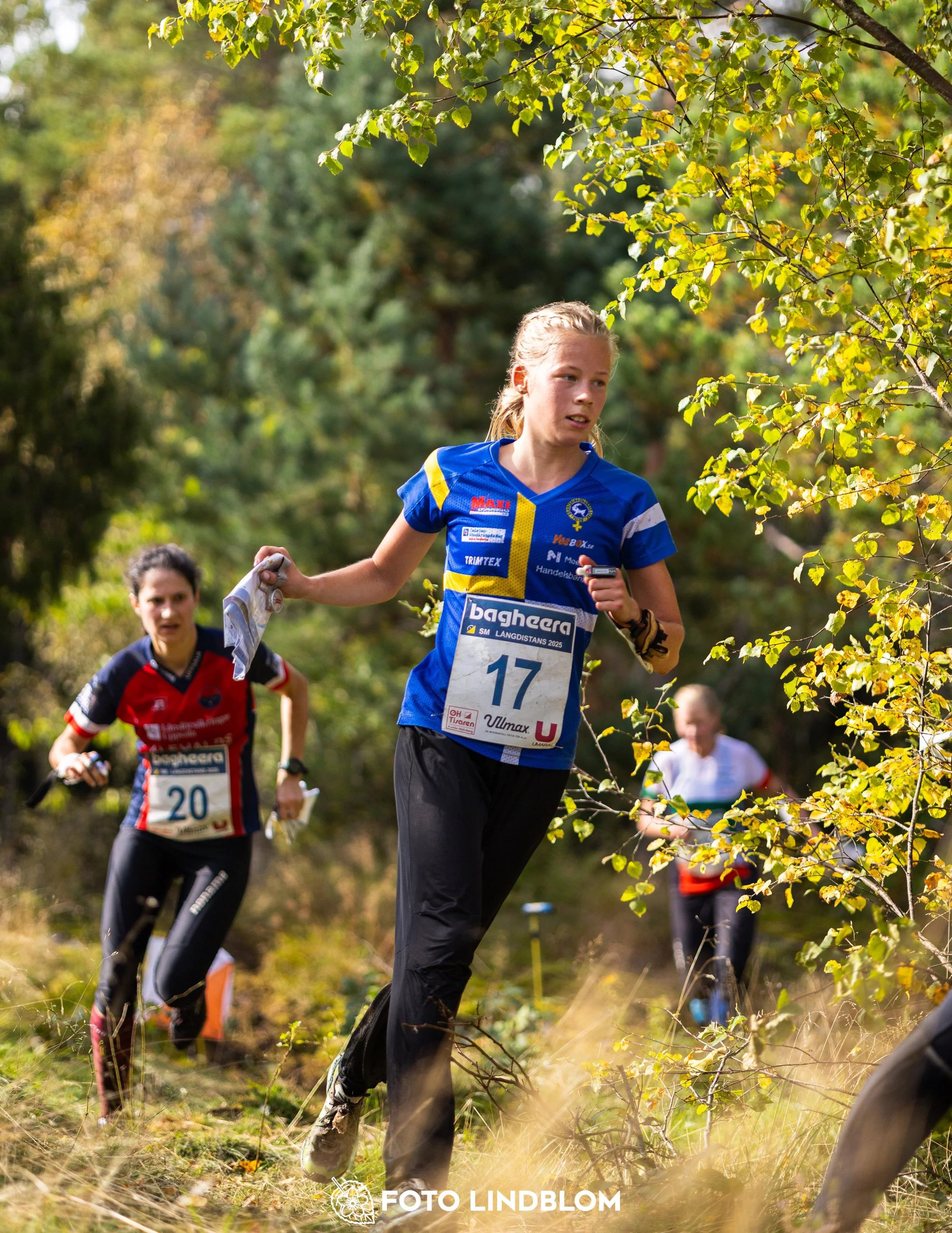 A picture from the Swedish national championship in long distance orienteering and Swedish league race taken by Foto Lindblom