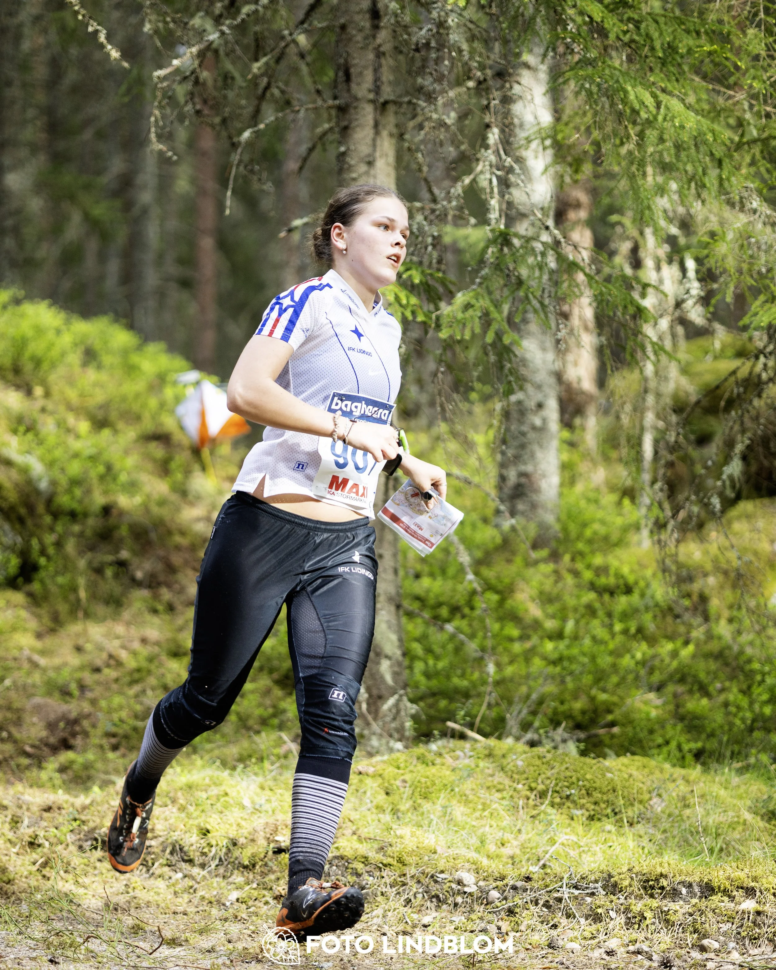 A picture from the Swedish national championship in middle distance orienteering and Swedish league race