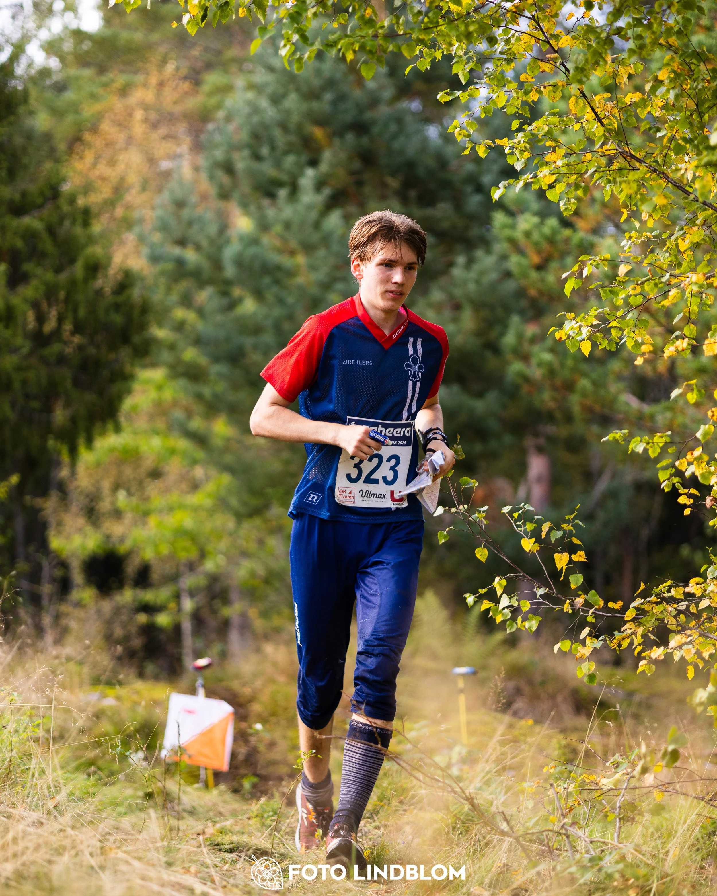 A picture from the Swedish national championship in long distance orienteering and Swedish league race taken by Foto Lindblom