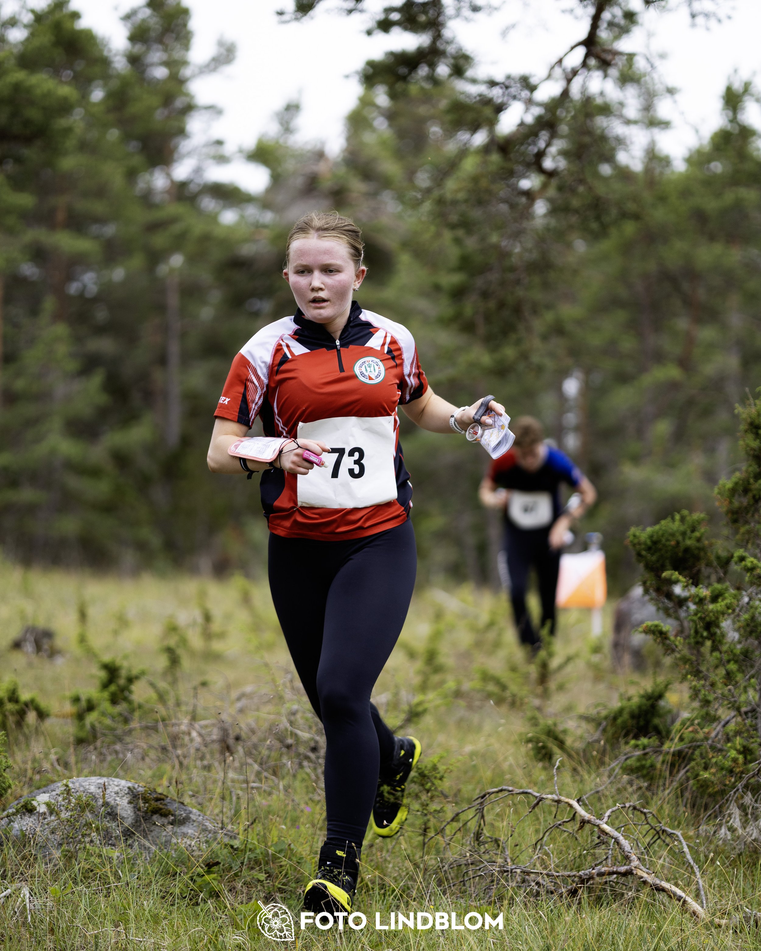 A picture from the Gotlands 2-Dagars orienteering competition