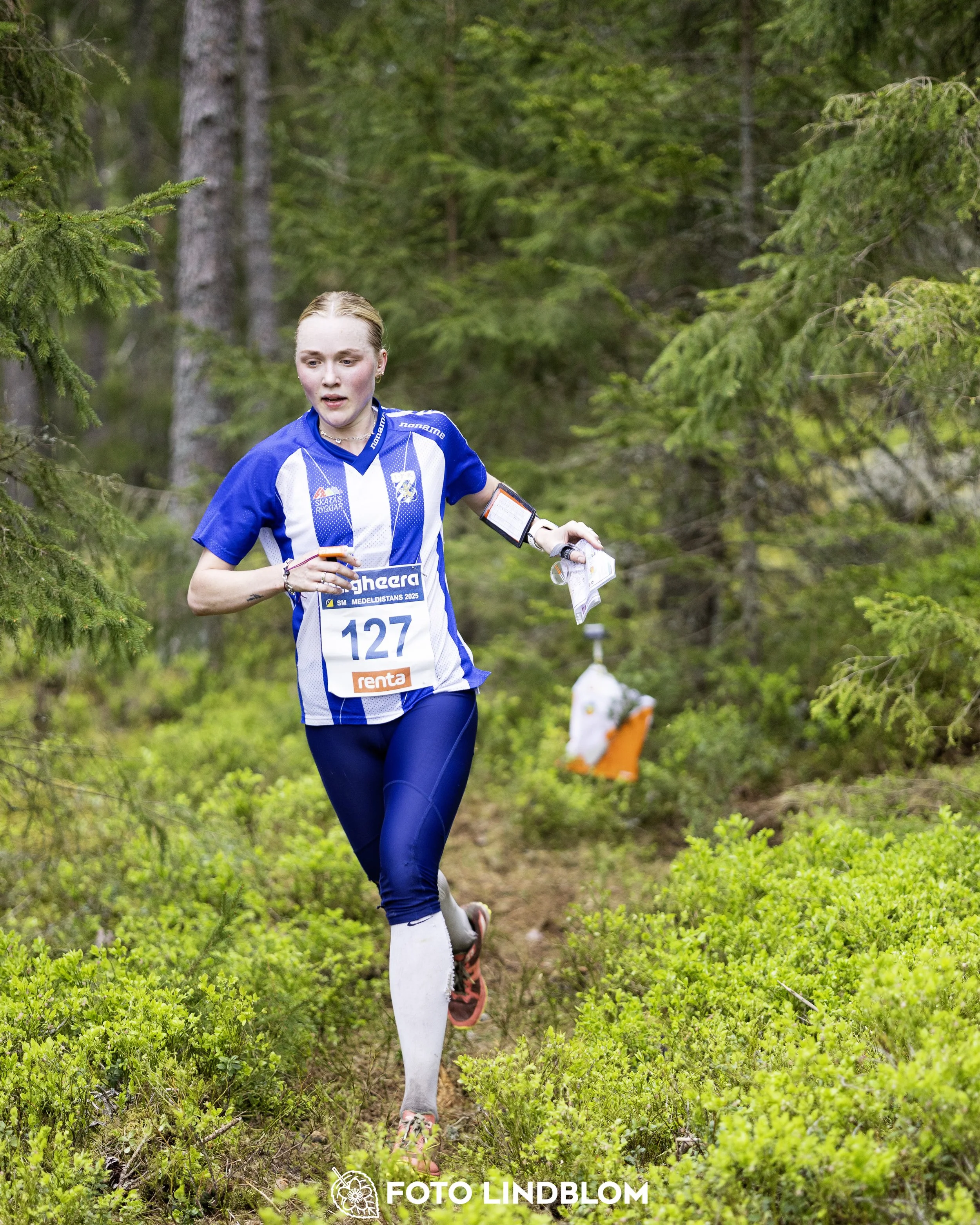 A picture from the Swedish national championship in middle distance orienteering and Swedish league race