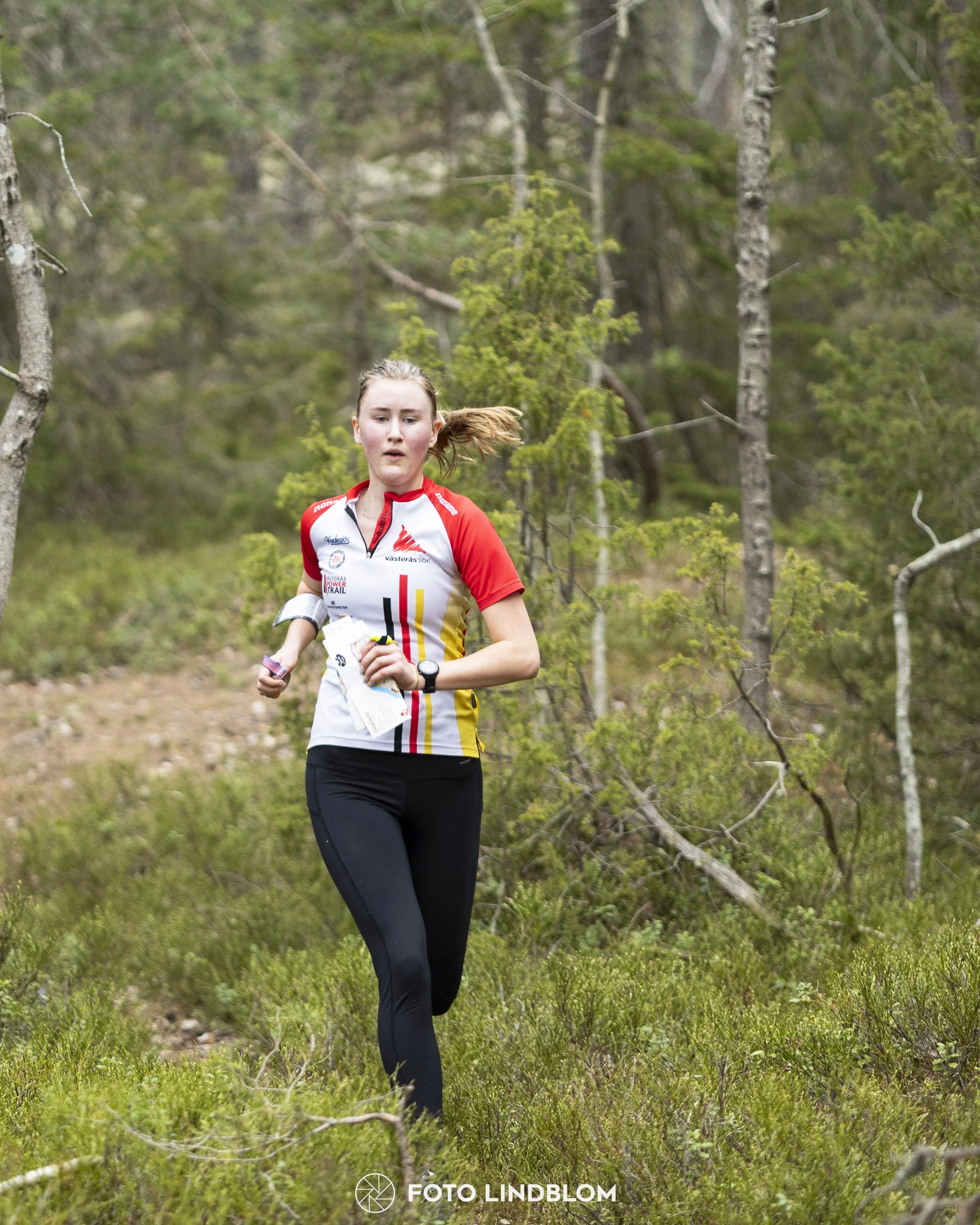 A picture from the orienteering competition "Orminge Medeln"