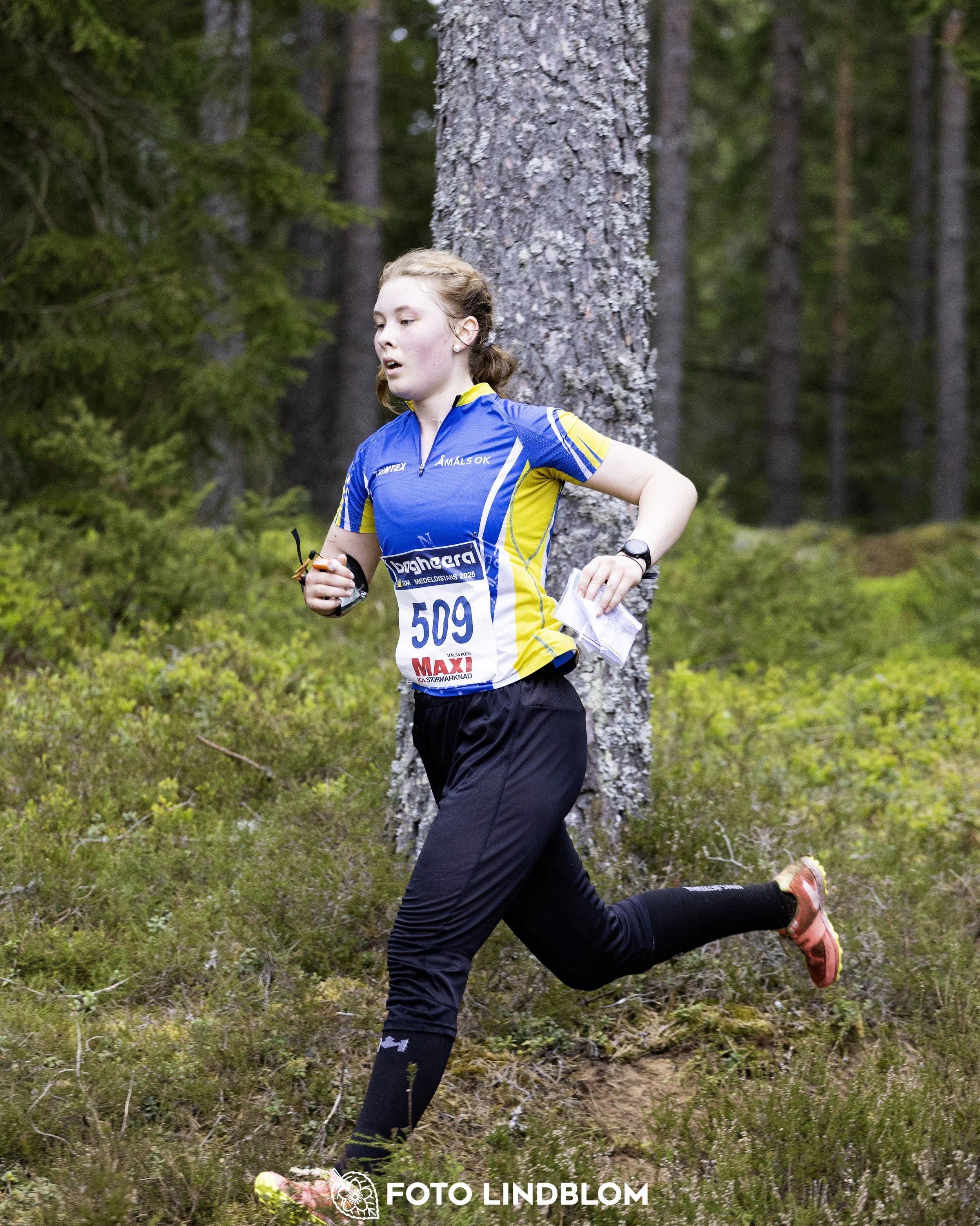 A picture from the Swedish national championship in middle distance orienteering and Swedish league race