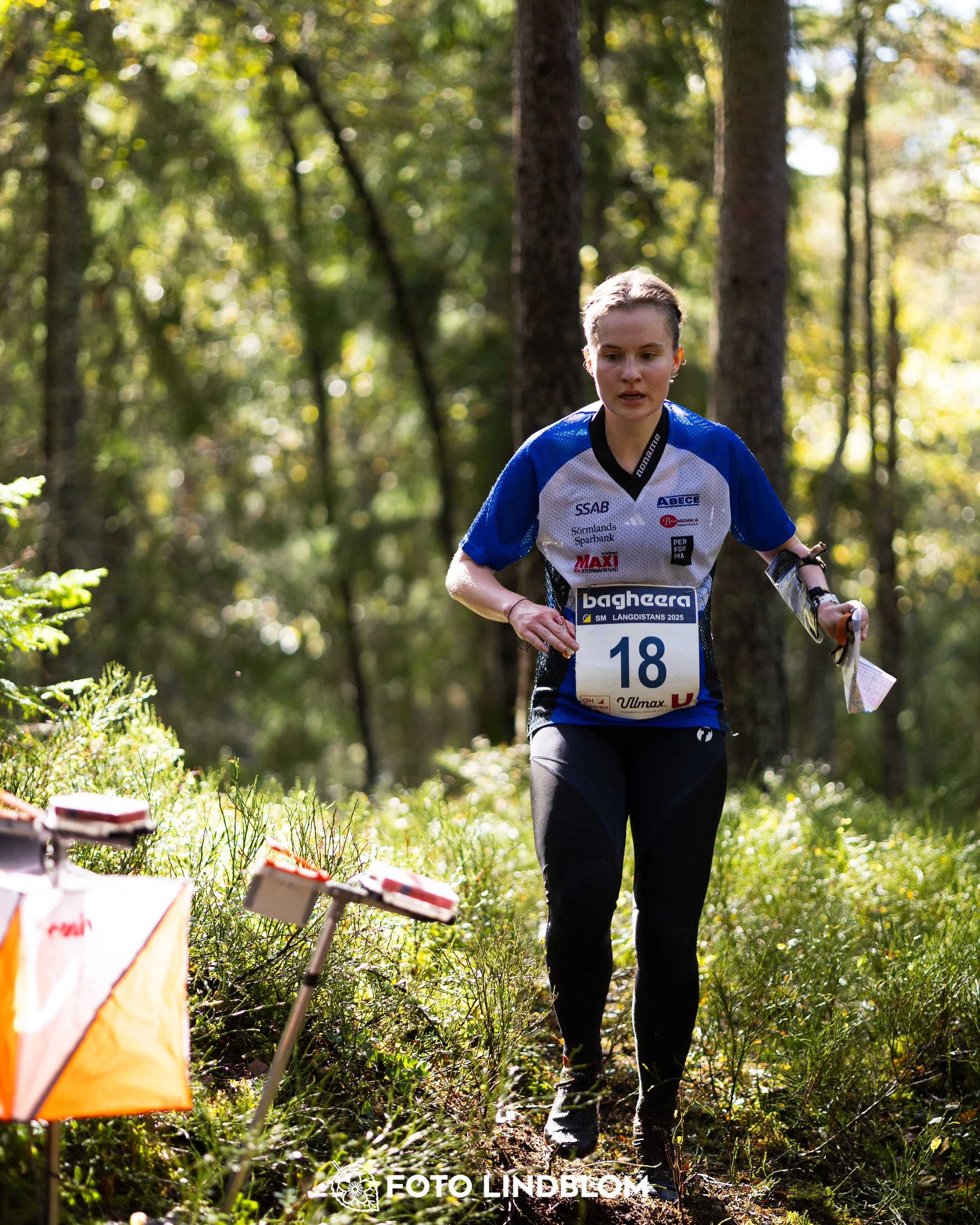 A picture from the Swedish national championship in long distance orienteering and Swedish league race taken by Foto Lindblom