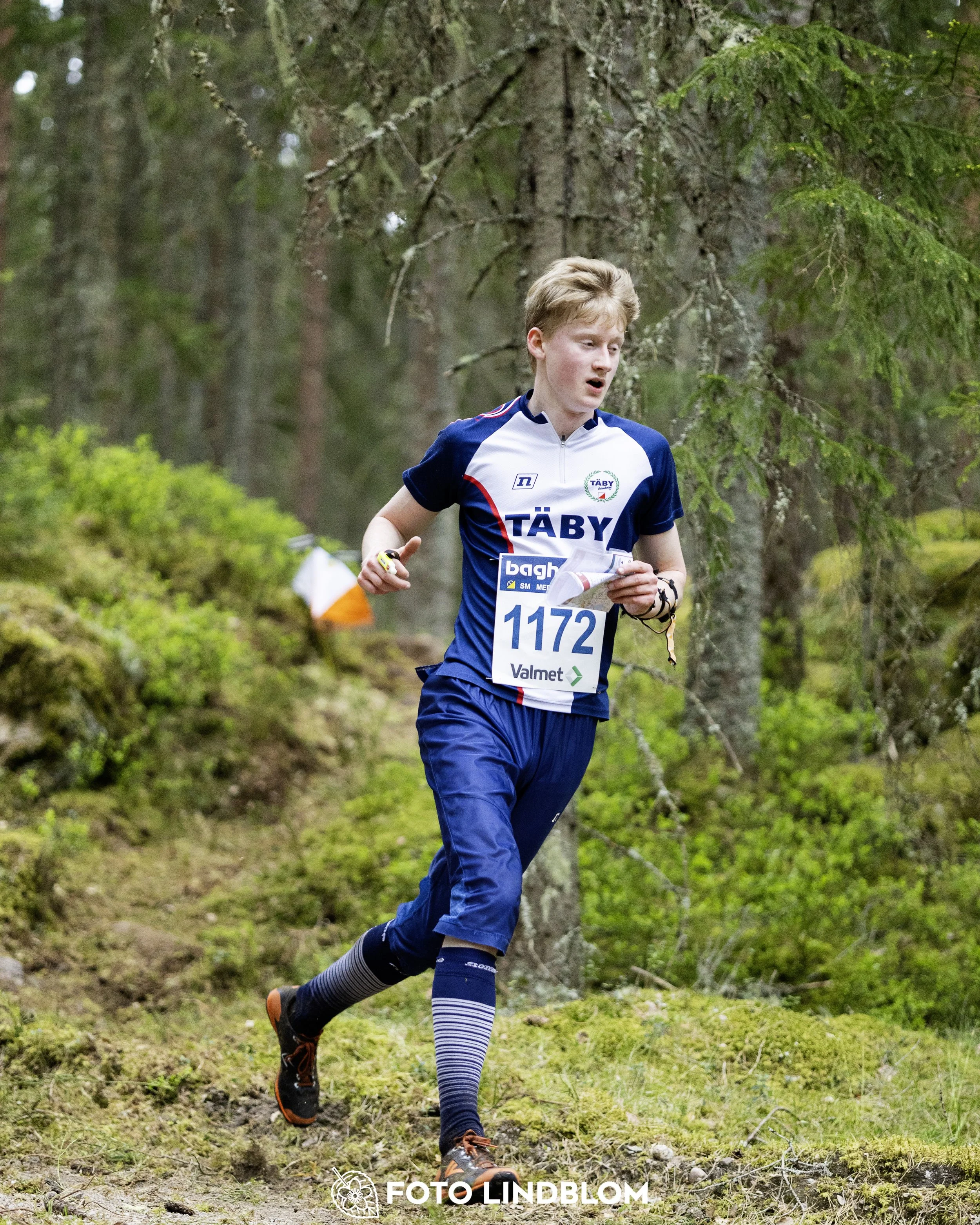 A picture from the Swedish national championship in middle distance orienteering and Swedish league race