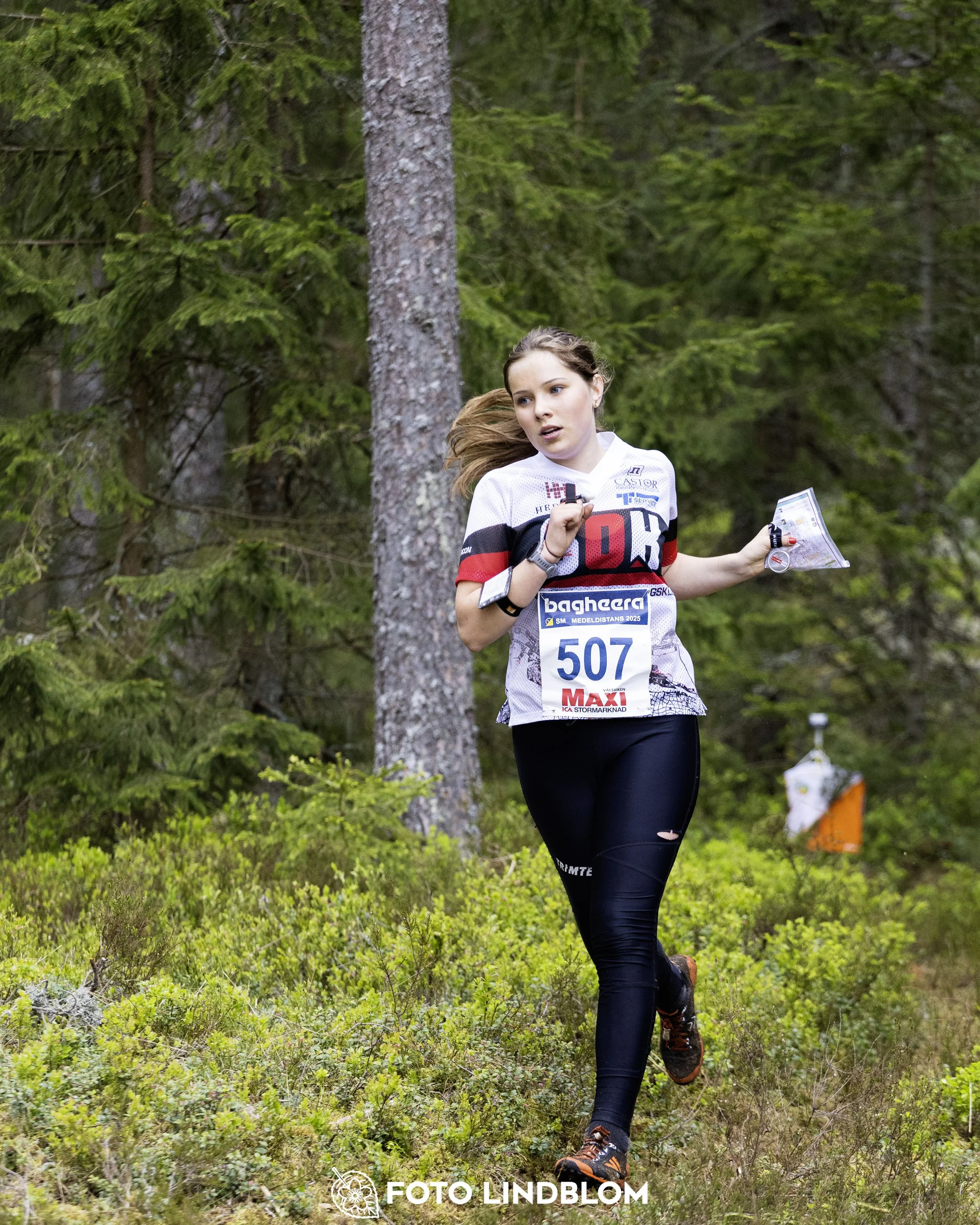A picture from the Swedish national championship in middle distance orienteering and Swedish league race
