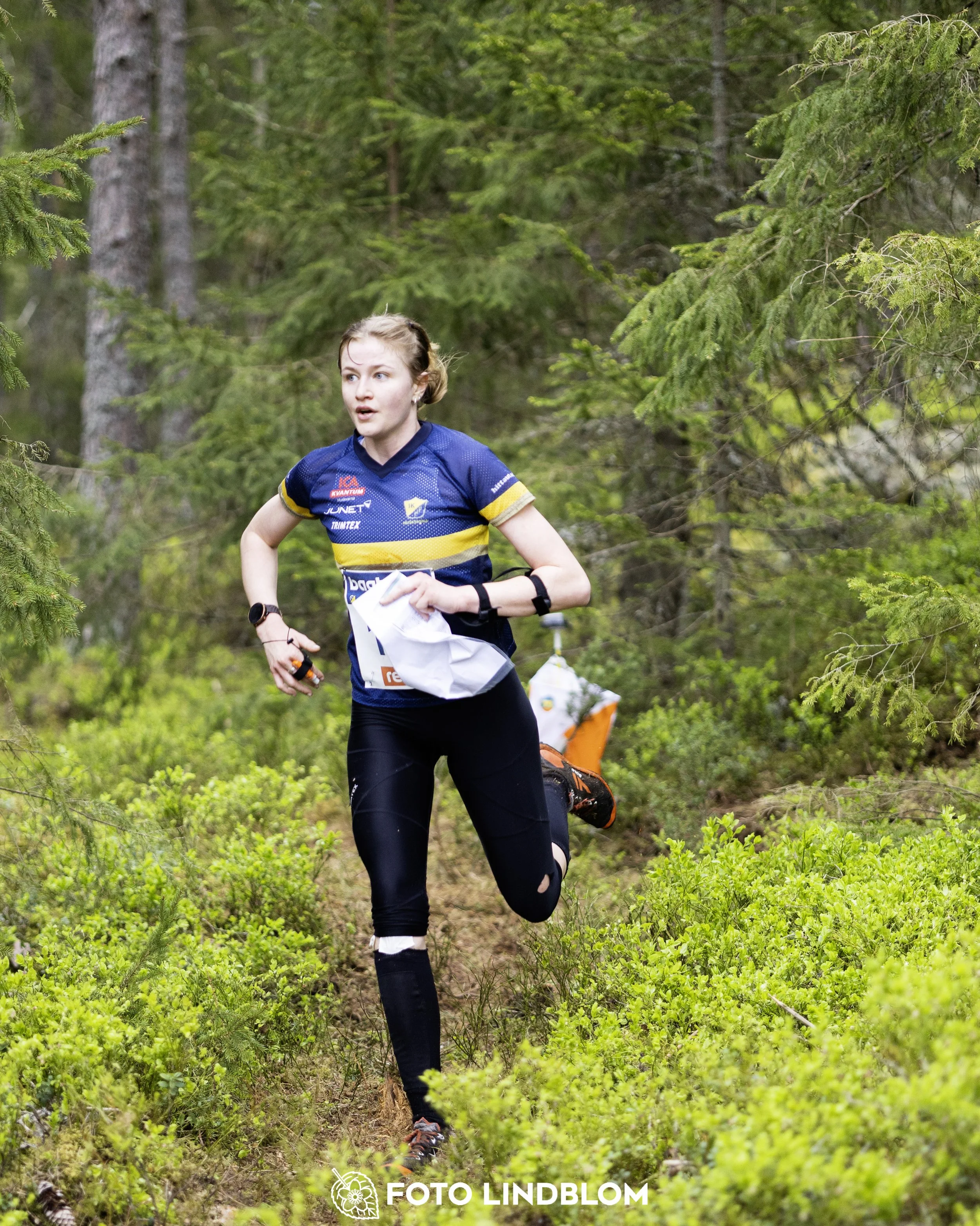 A picture from the Swedish national championship in middle distance orienteering and Swedish league race