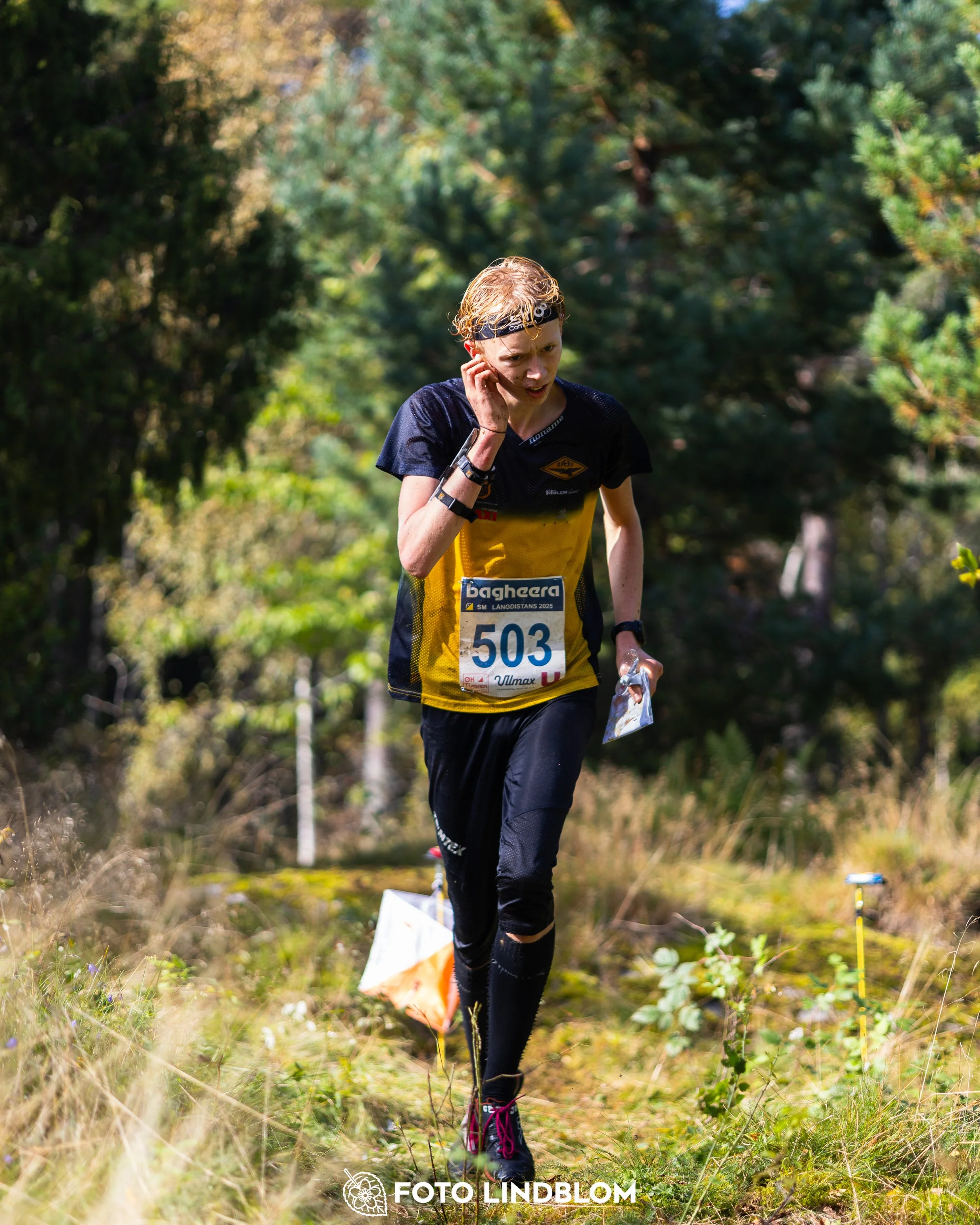 A picture from the Swedish national championship in long distance orienteering and Swedish league race taken by Foto Lindblom