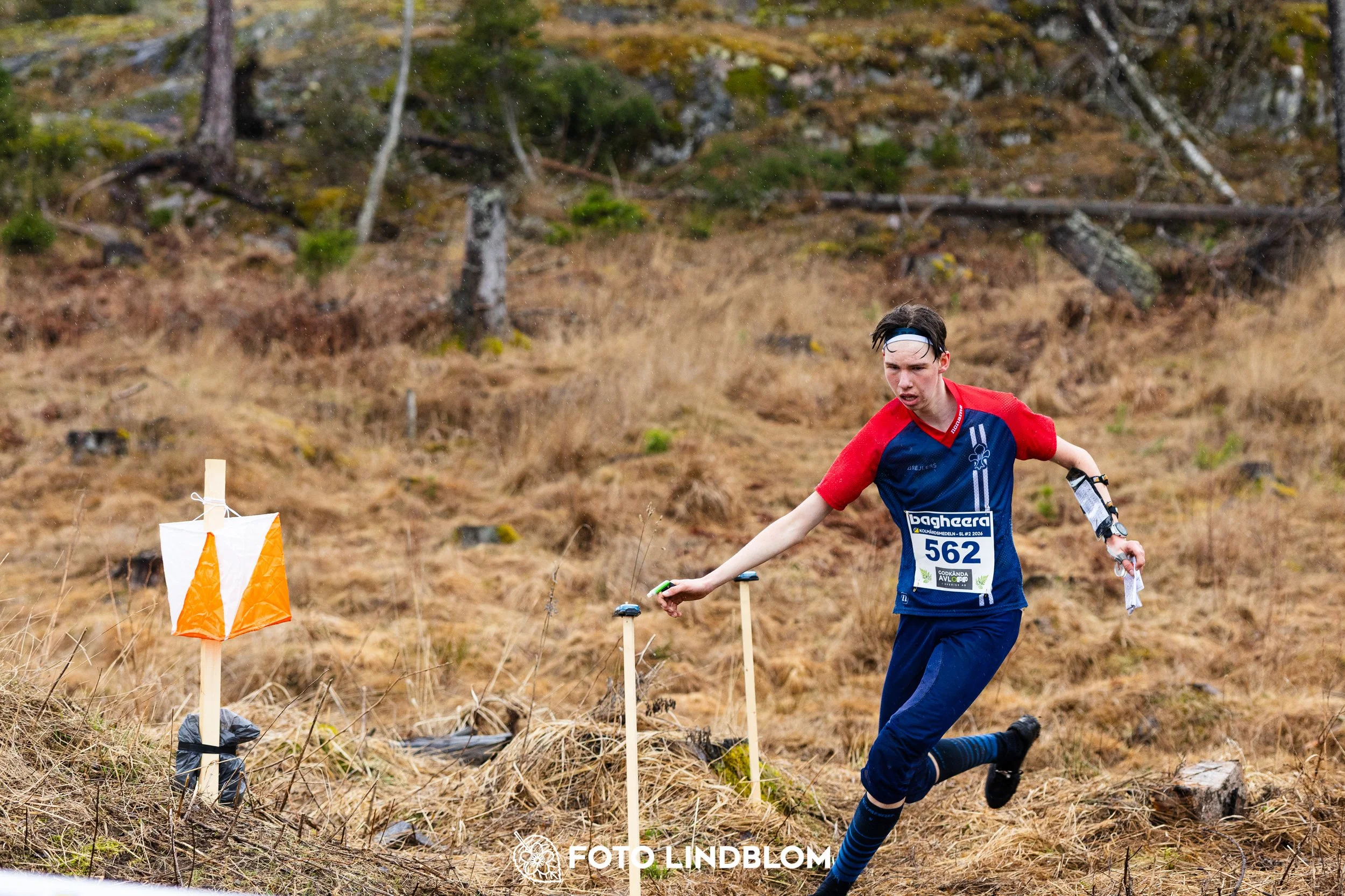 A scene from the Swedish League middle distance event in Kolmården spring 2026, captured by Foto Lindblom.