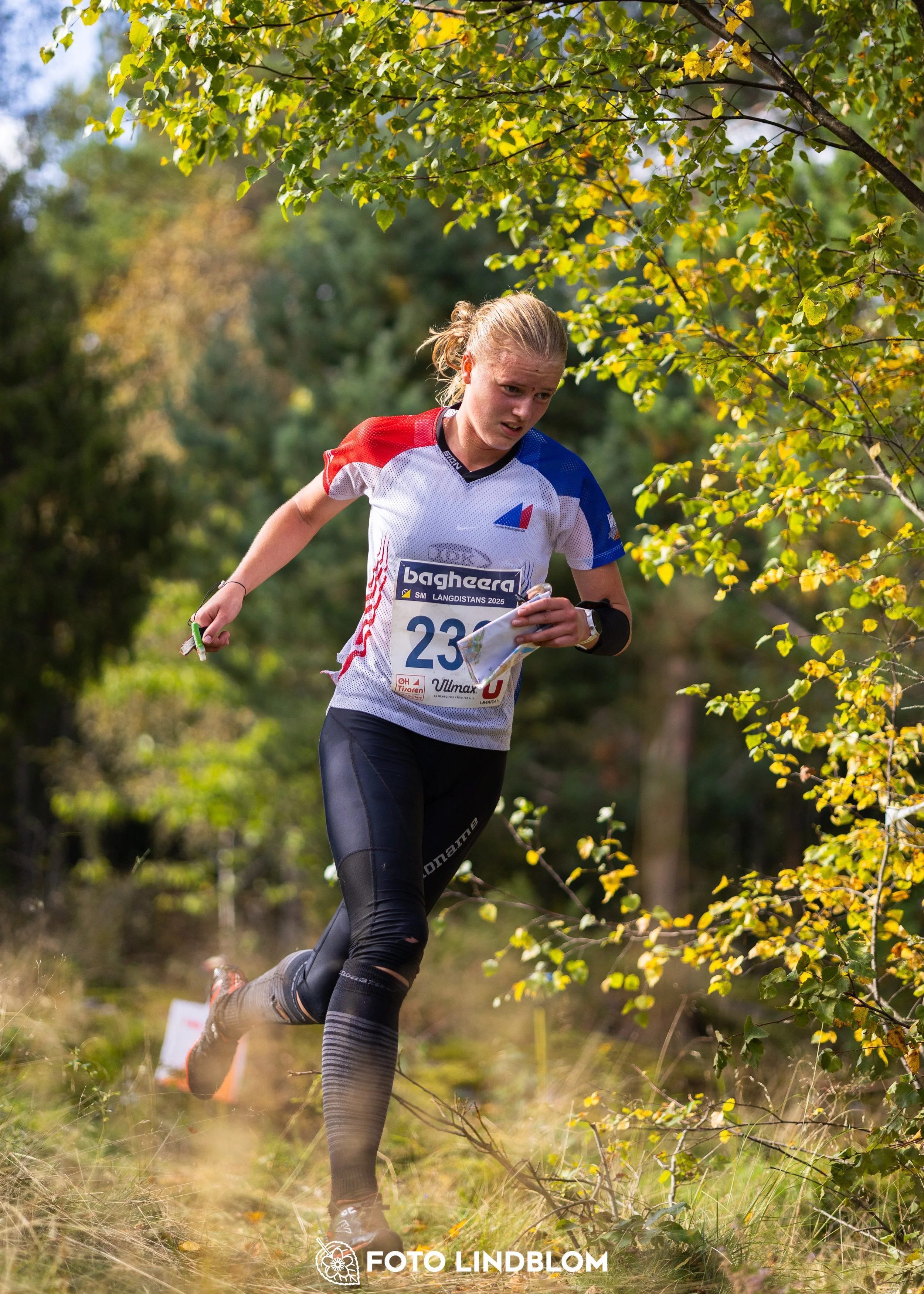 A picture from the Swedish national championship in long distance orienteering and Swedish league race taken by Foto Lindblom