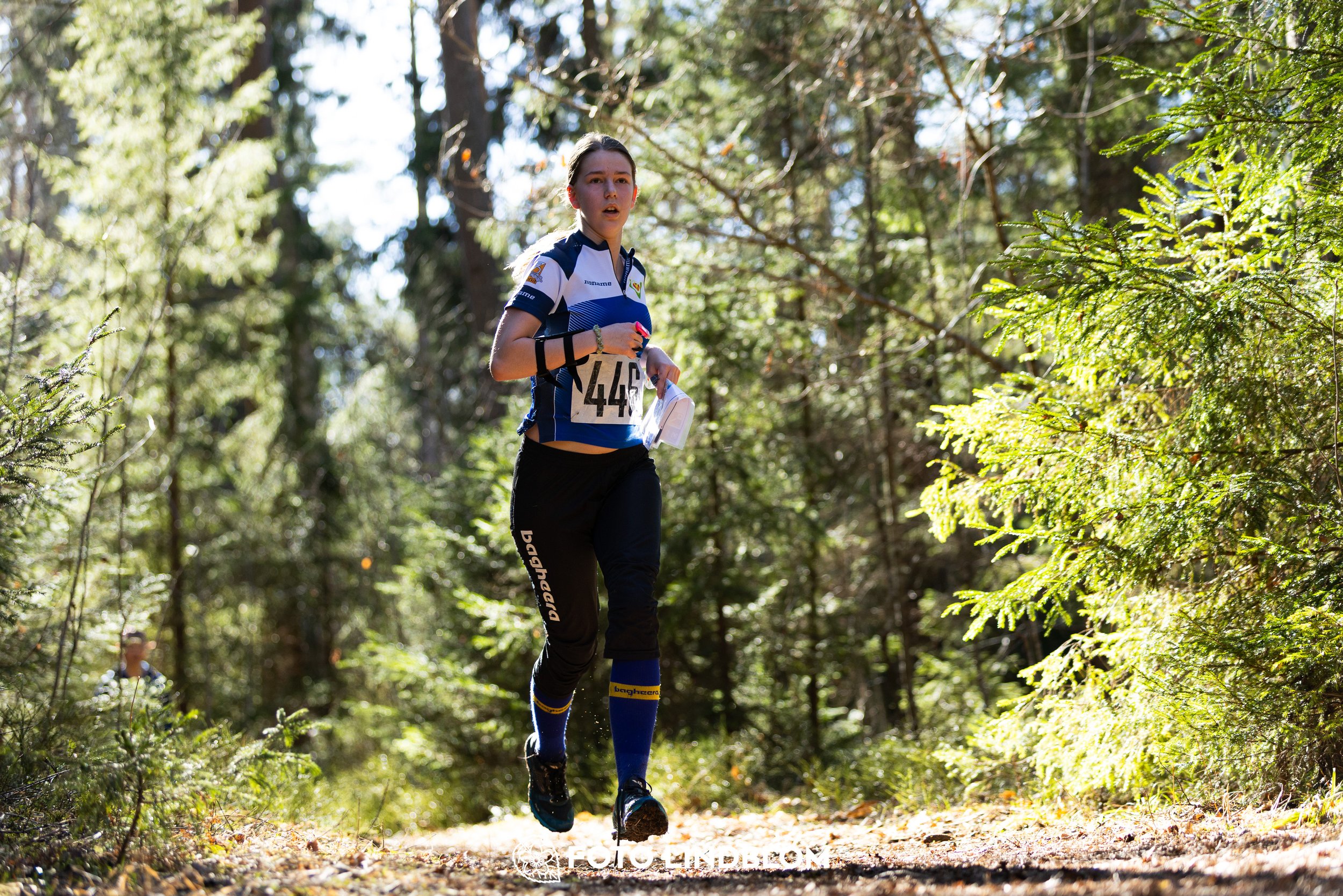 Orienteering competition scene from Nyköpingsorienteringen 2026 in Sweden’s natural forest environment, captured by Foto Lindblom.