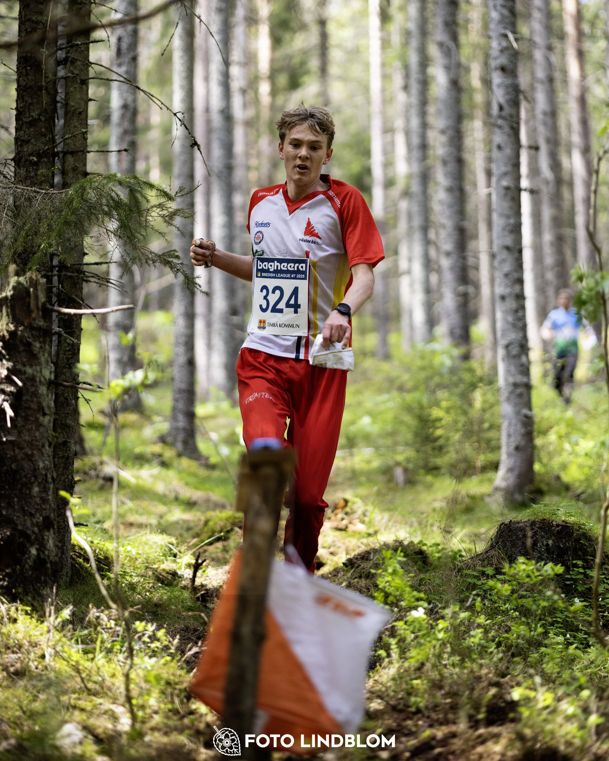 A picture from the seventh stage of the Swedish League orienteering competition