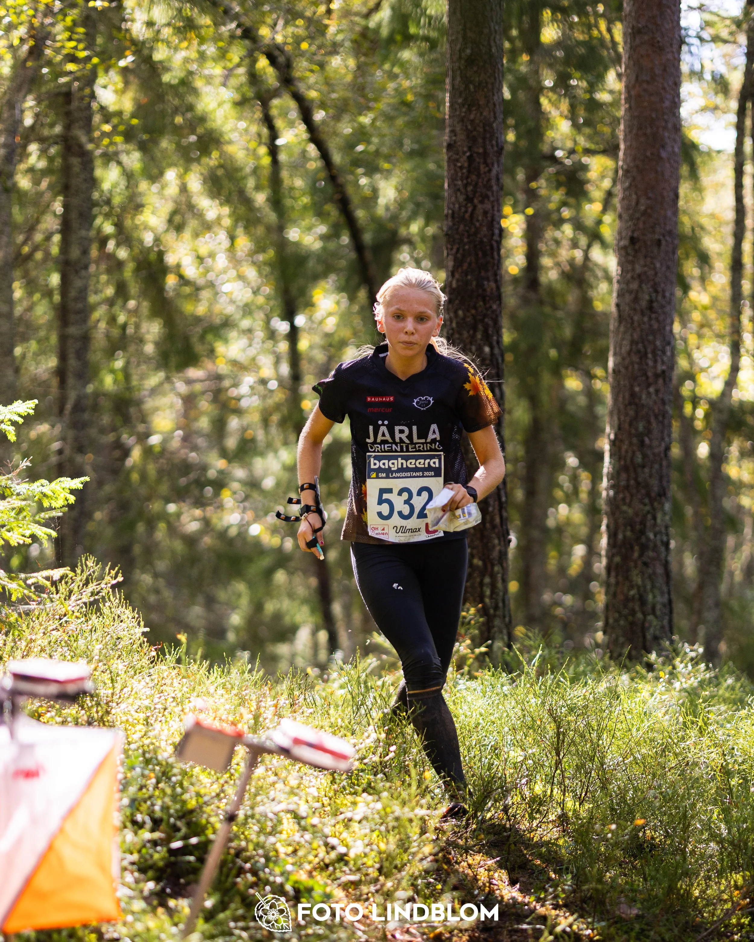 A picture from the Swedish national championship in long distance orienteering and Swedish league race taken by Foto Lindblom