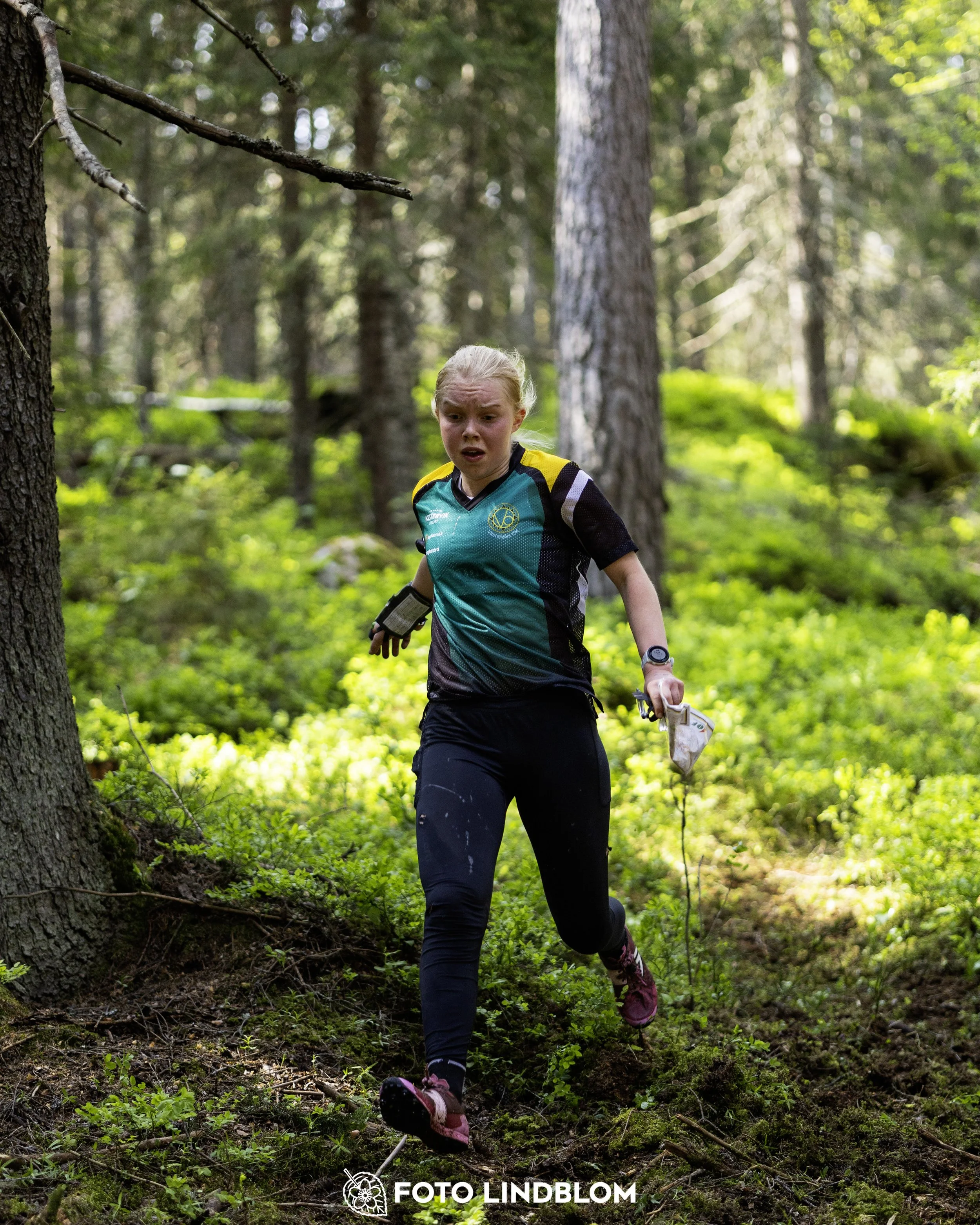 A picture from the seventh stage of the Swedish League orienteering competition