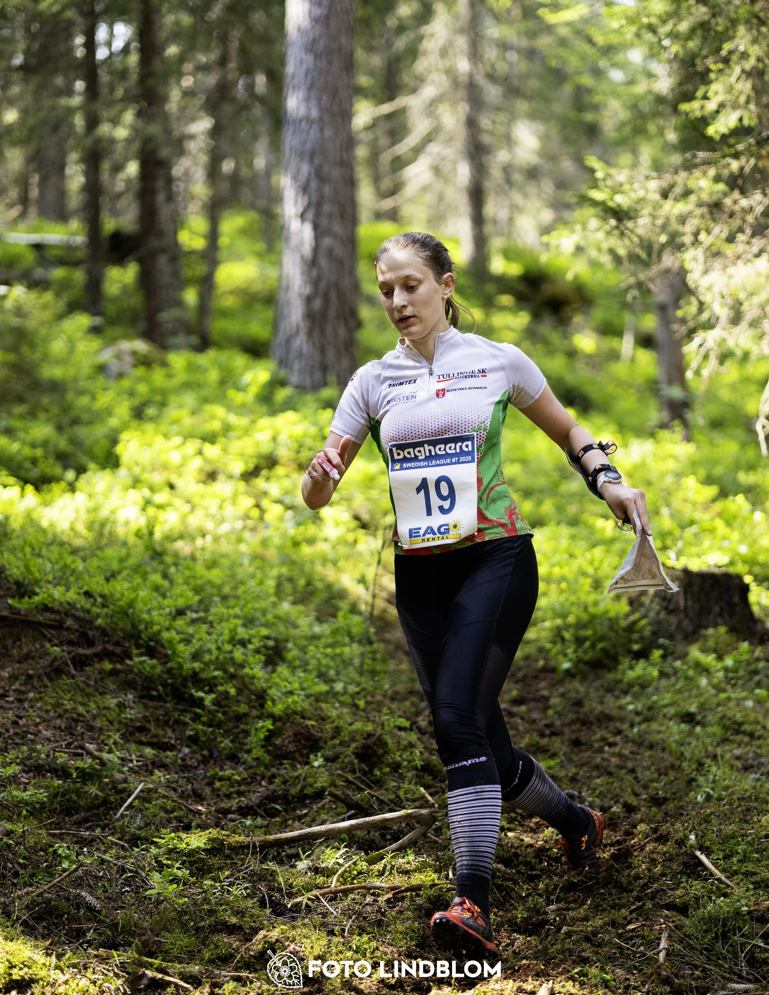 A picture from the seventh stage of the Swedish League orienteering competition