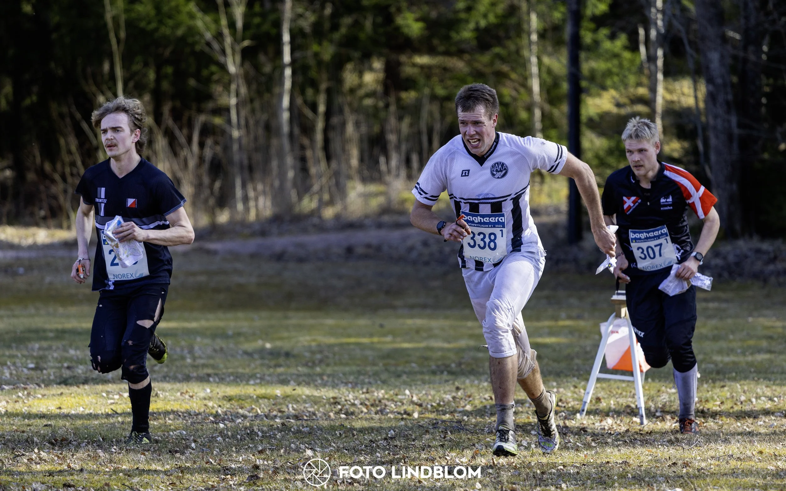 A picture from the orienteering relay competition "Måsen Staffeten"