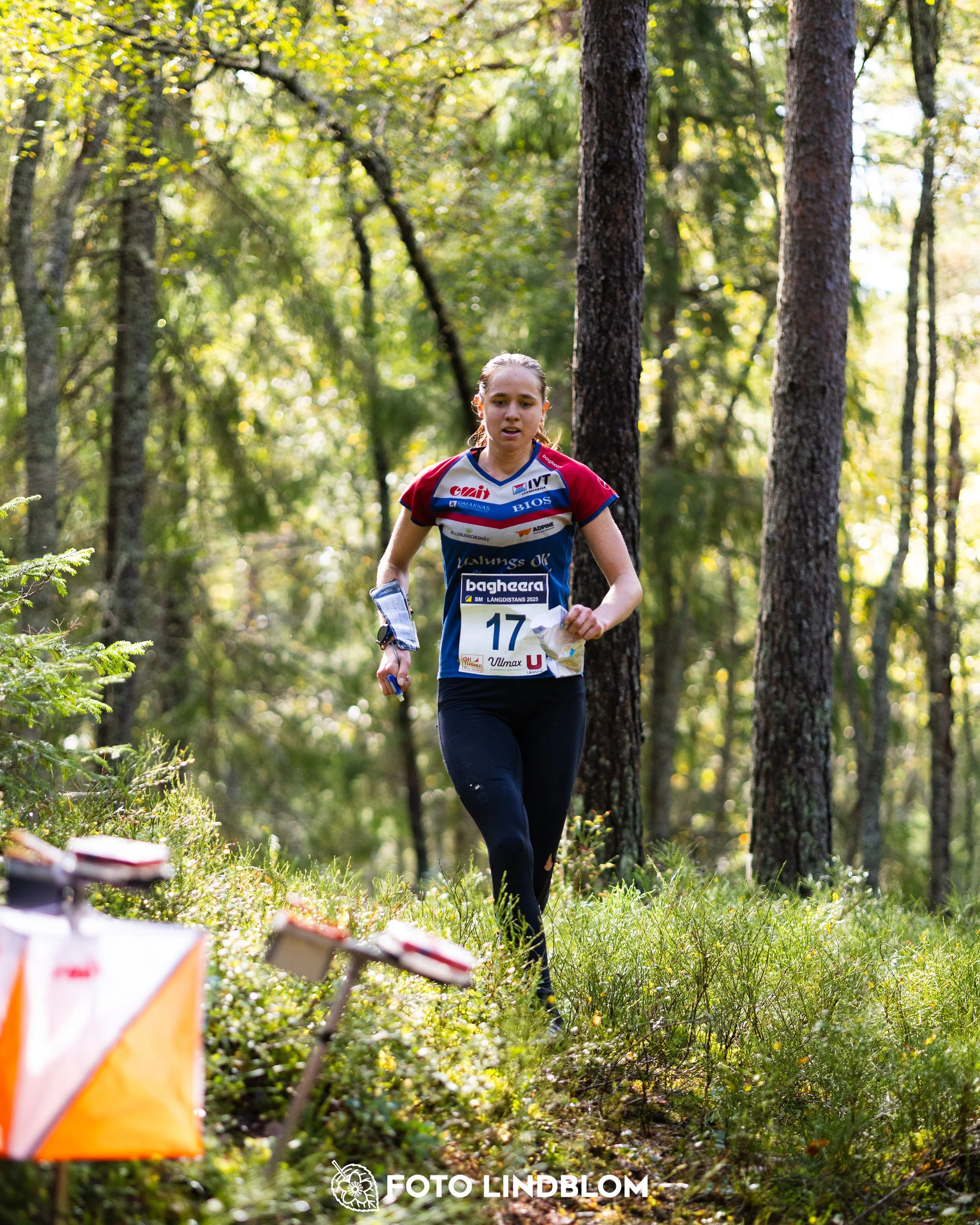 A picture from the Swedish national championship in long distance orienteering and Swedish league race taken by Foto Lindblom